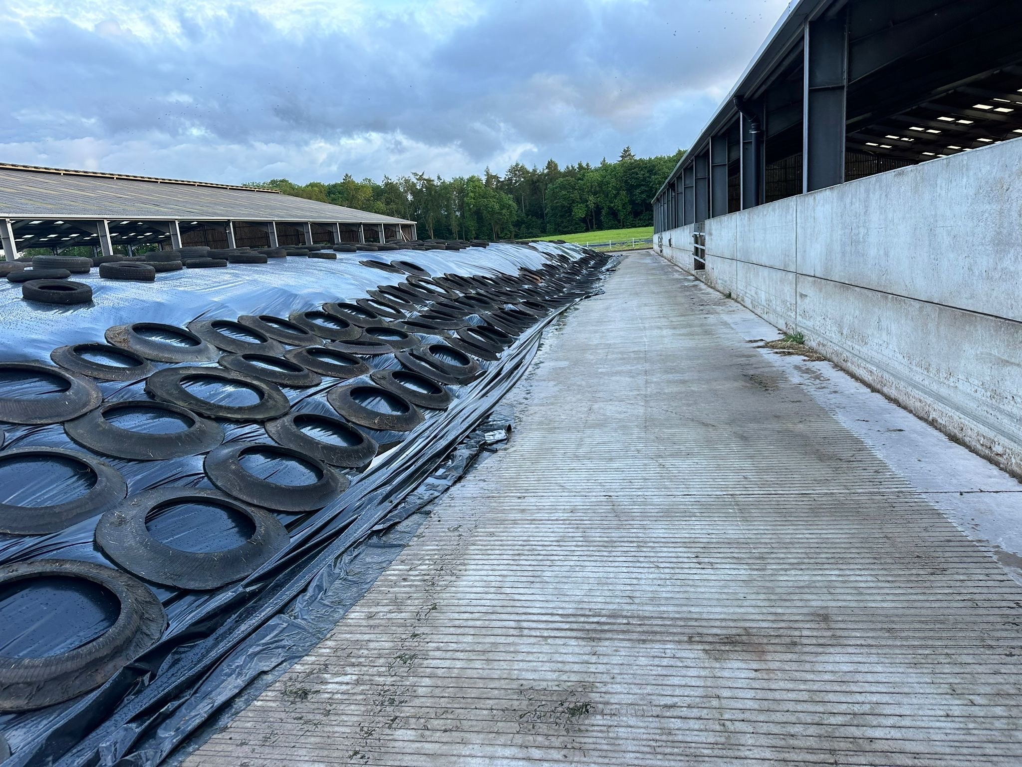 The silage pit on the farm