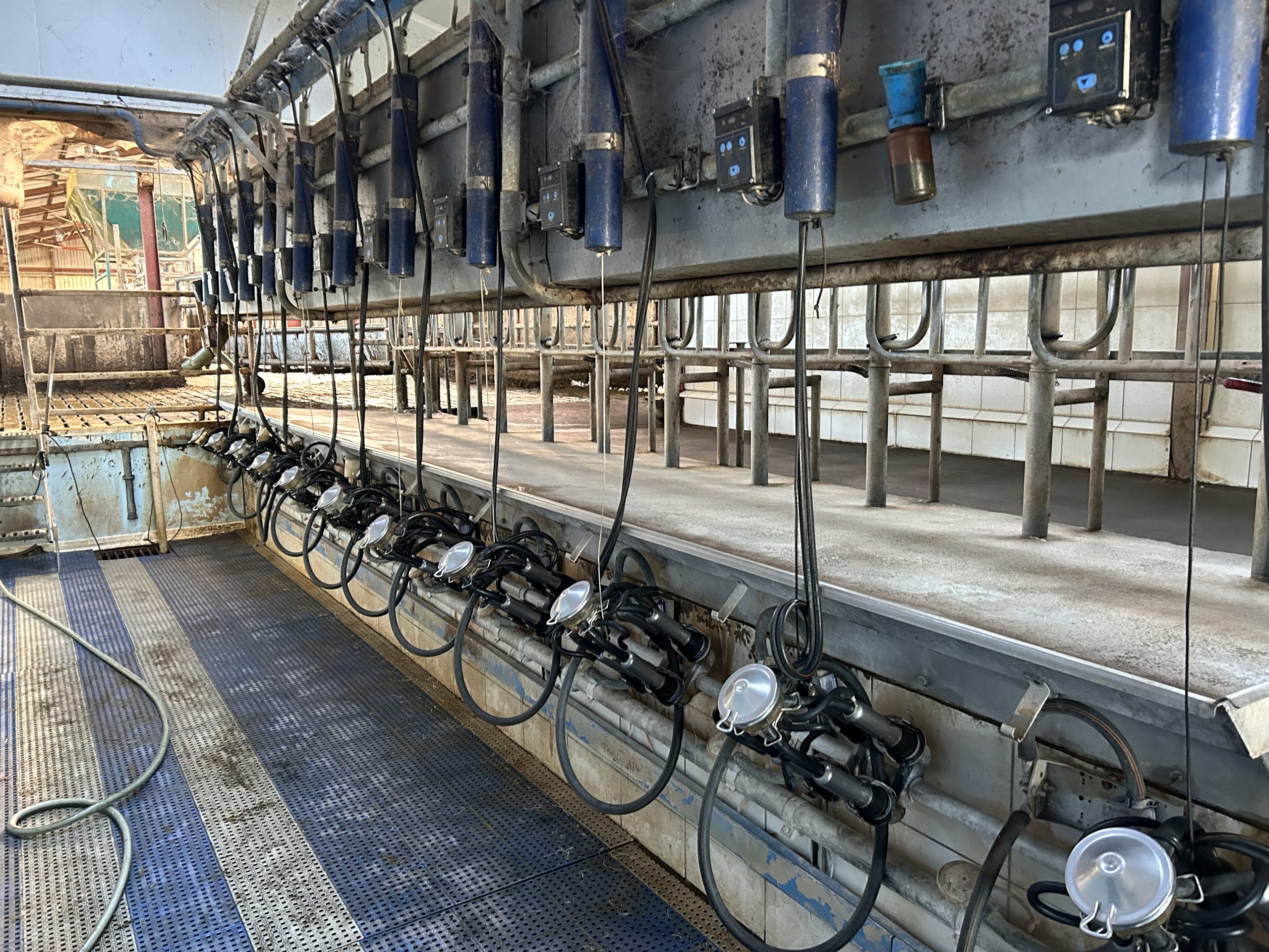 The 11-unit one-sided parlour