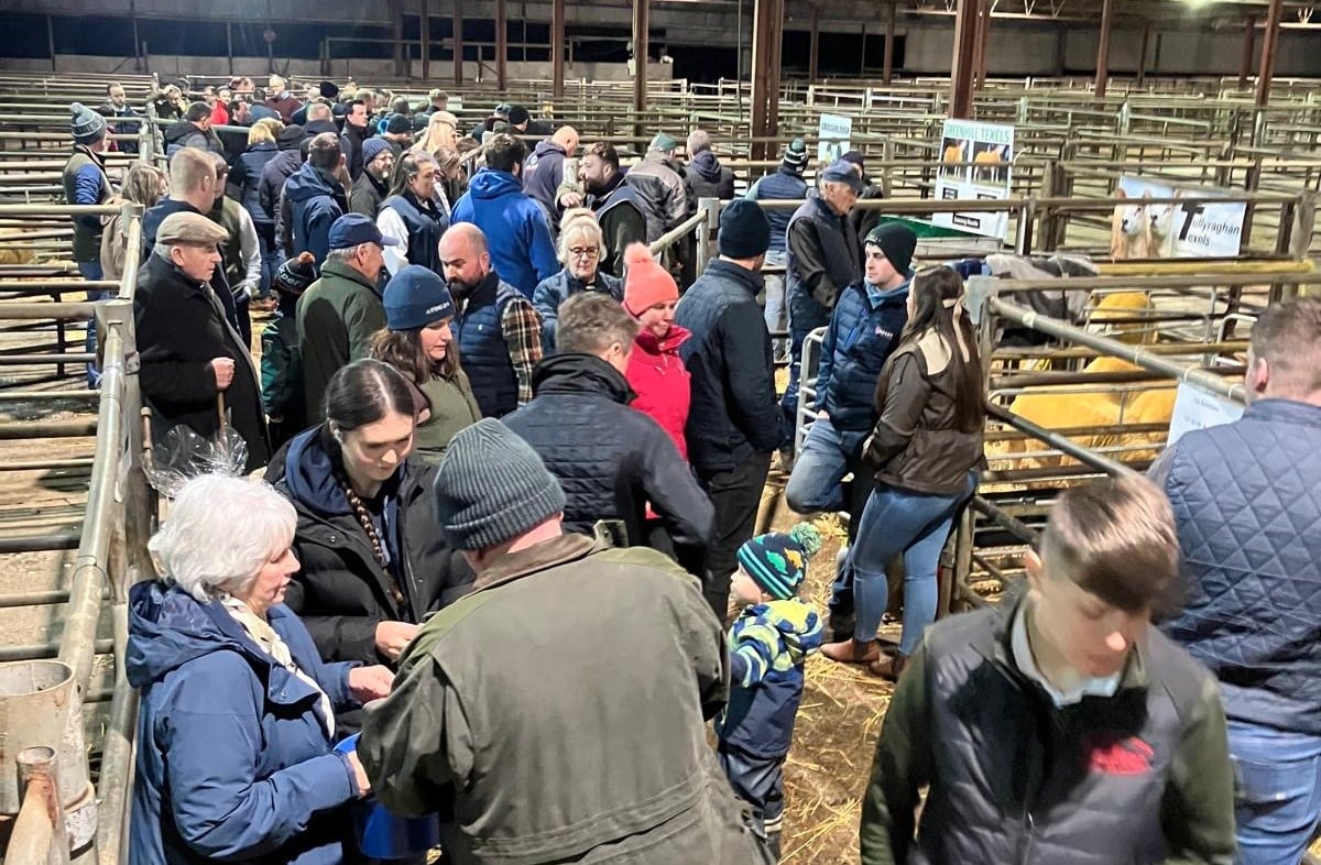 There were large crowds in attendance at the sale