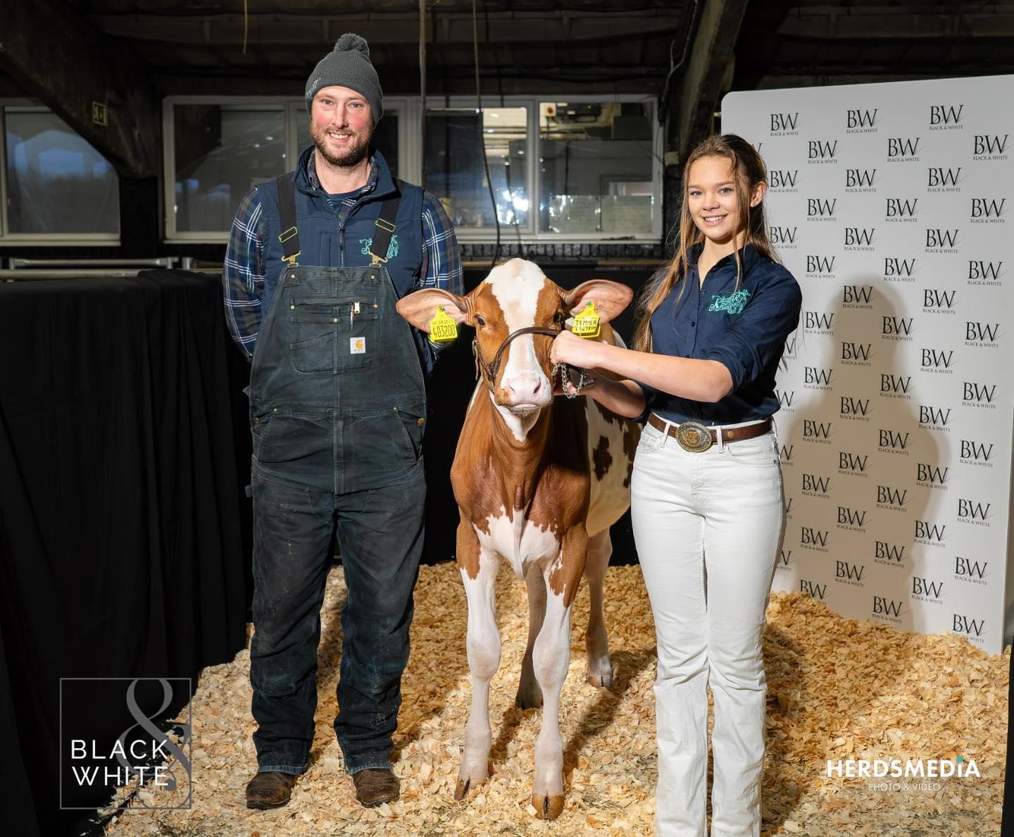 L-r: Jonny Lochhead and Hattie Hassall with Auchensala LH Kedar Temper Tantrum Red, who sold for 9000gns. Source: Black &amp; White sale Facebook