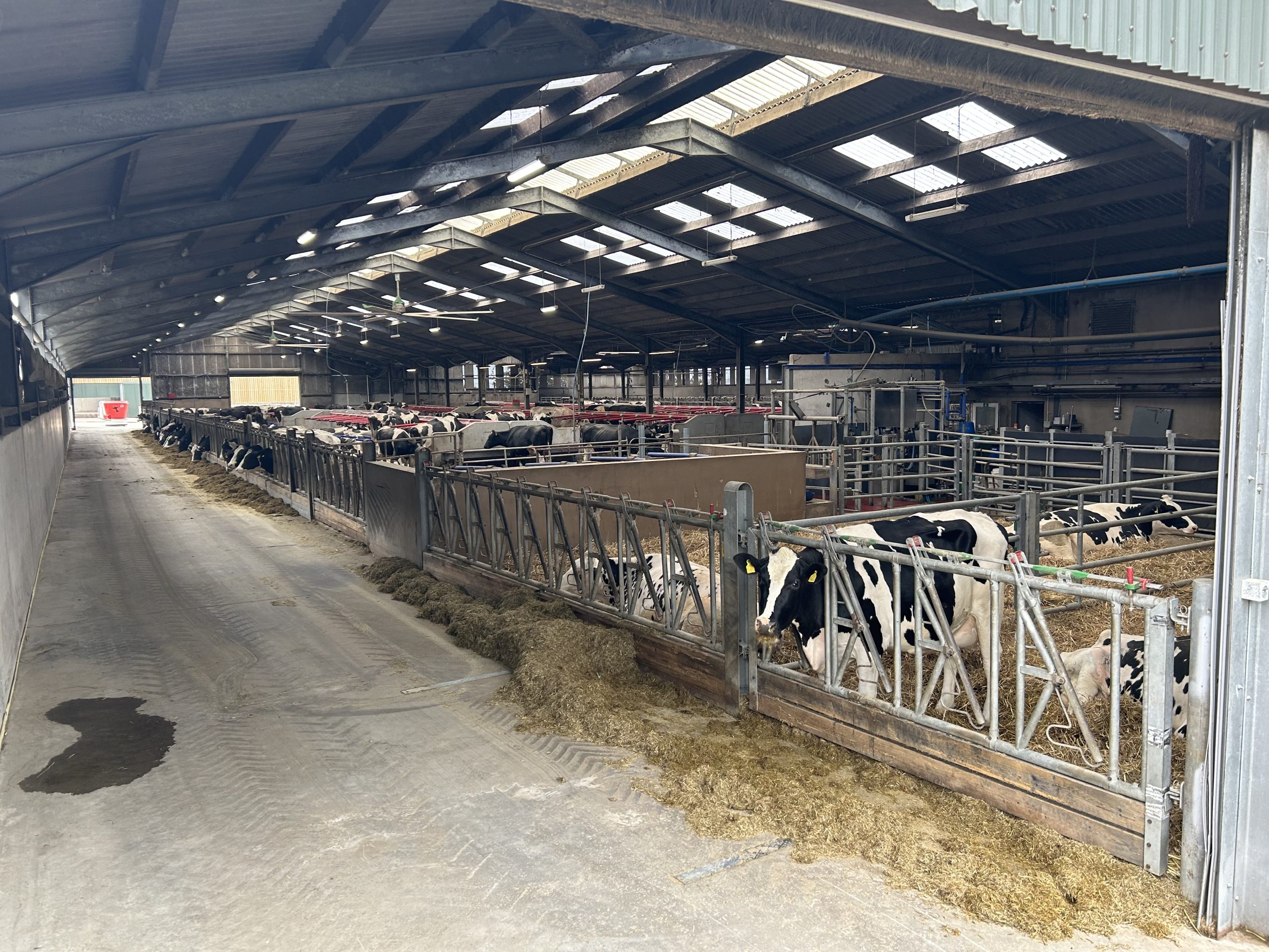 The Cargills' cubicle shed