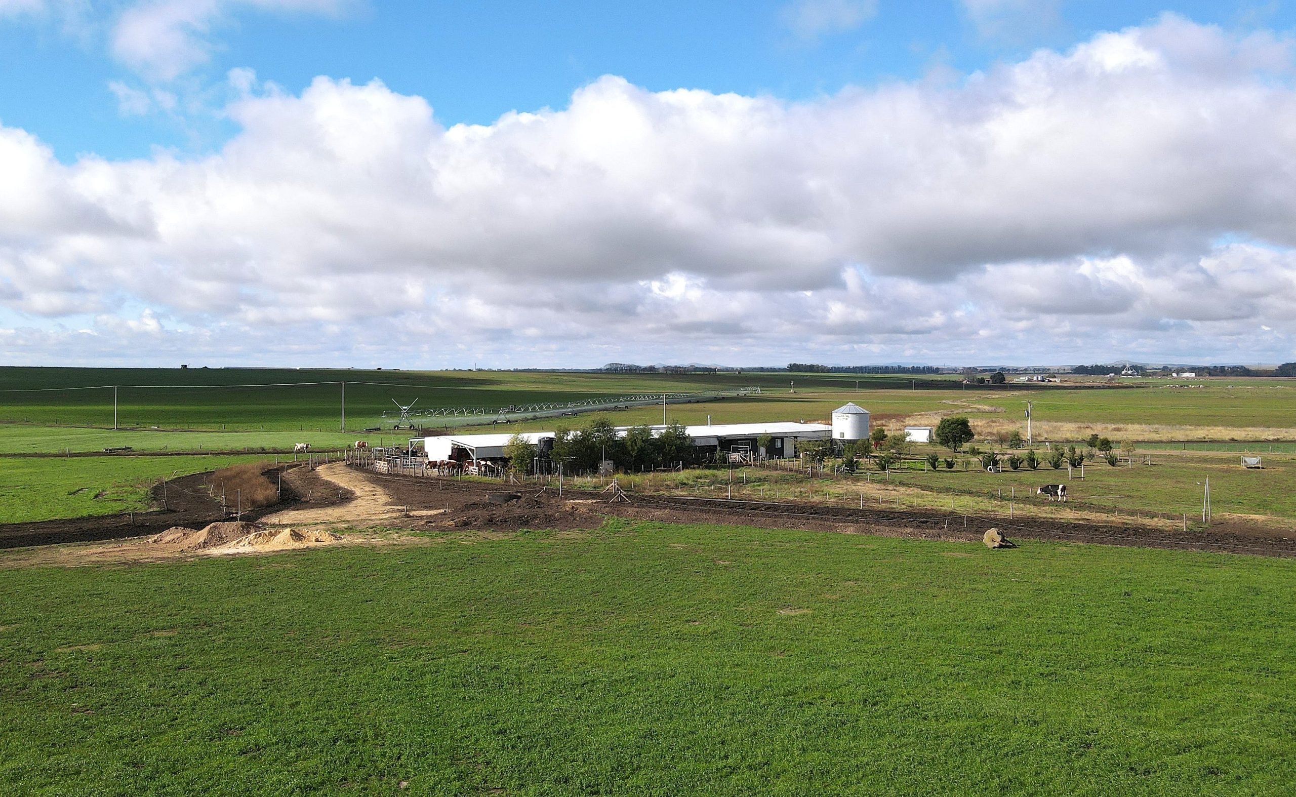 El Racho farm is located in the Balcarce region in Buenos Aires province