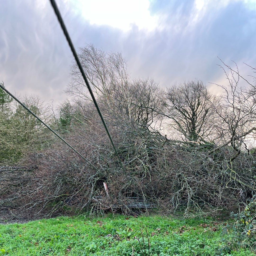 Fallen trees damage power lines Source: ESB Networks via X