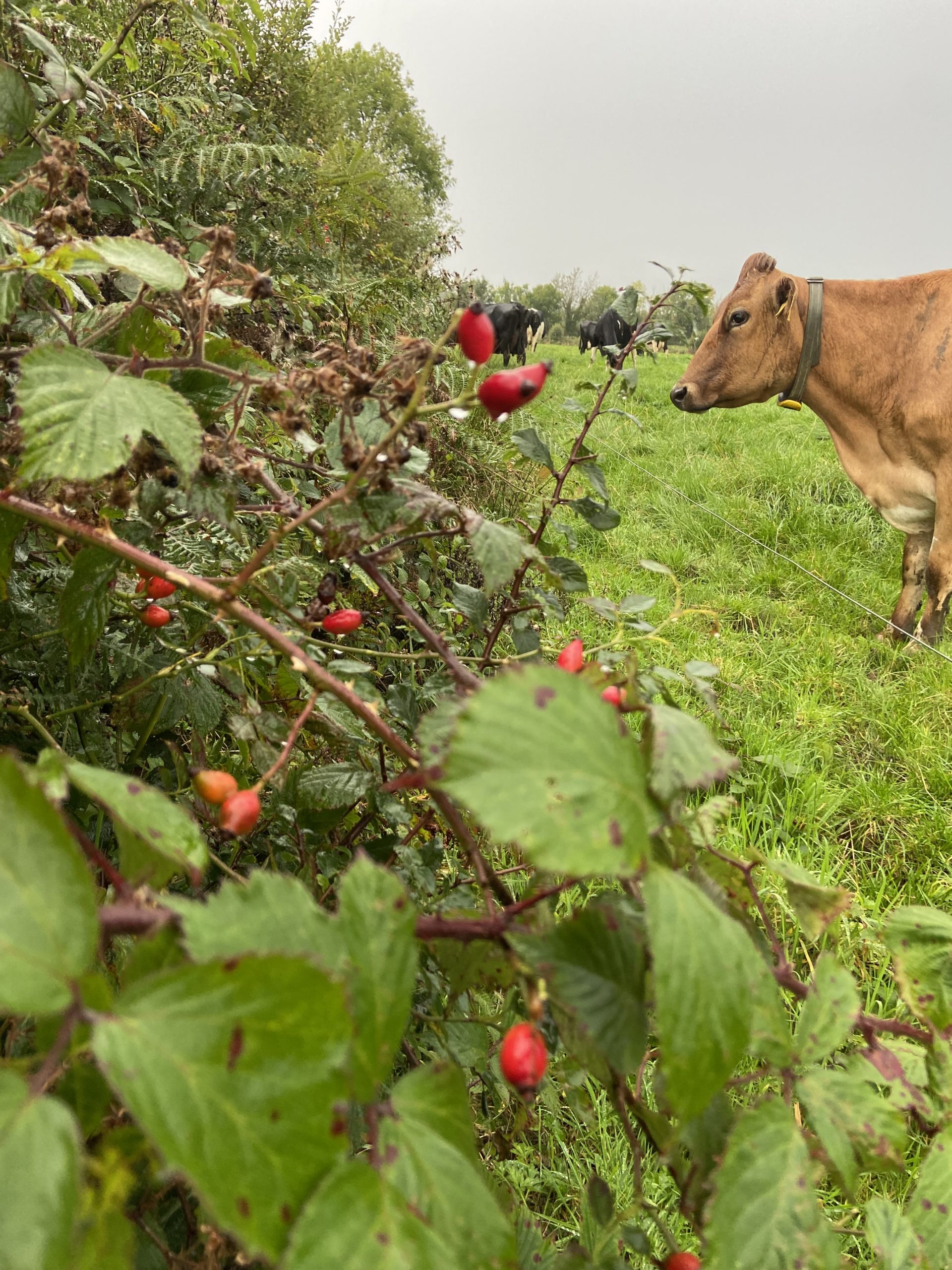 Michael O'Brien's winning photo in the under-18s category