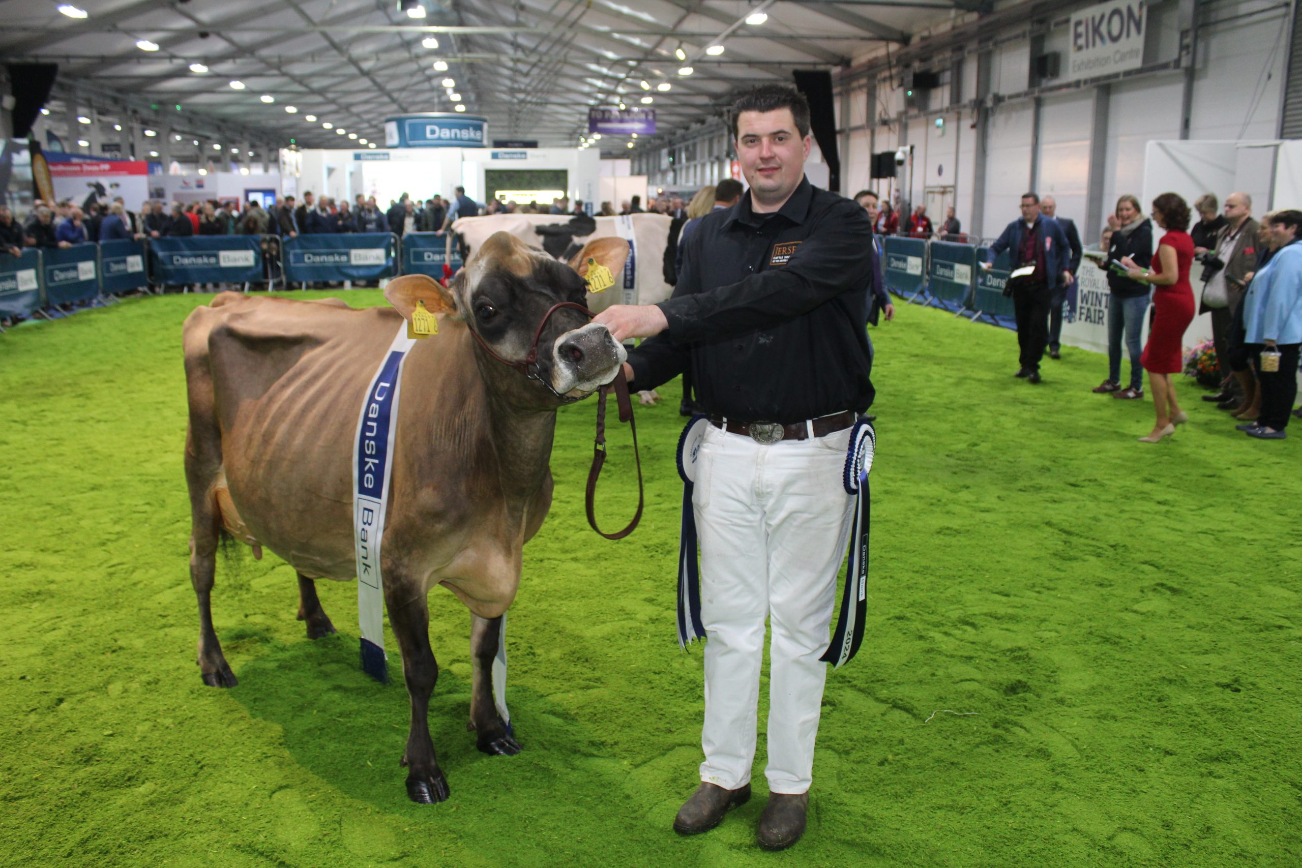 The Inter Breed Reserve Champion at the 2024 Royal Ulster Winter Fair