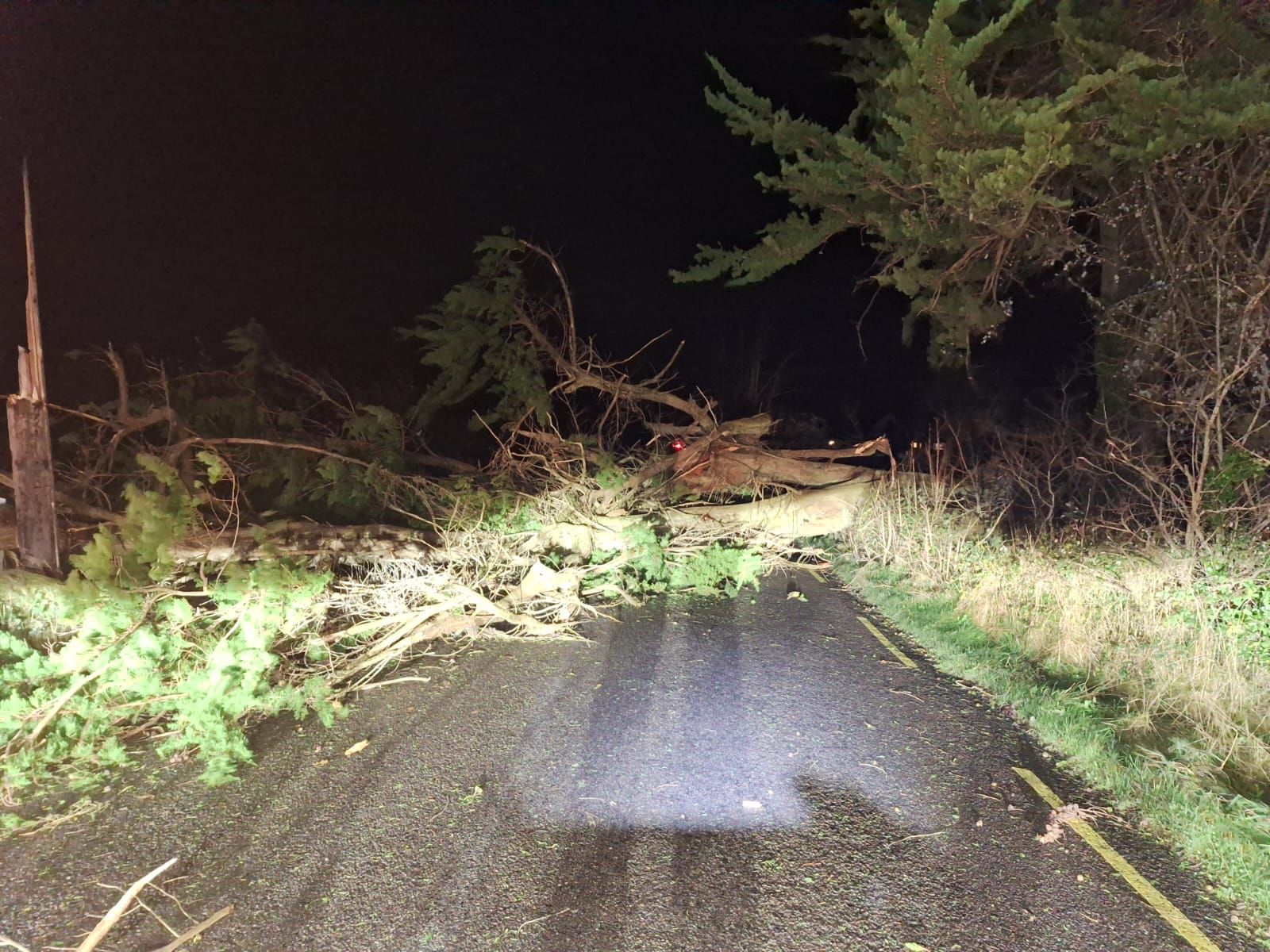 Fallen tree in Kerry after Storm Darragh. Source: Kerry County Council via X