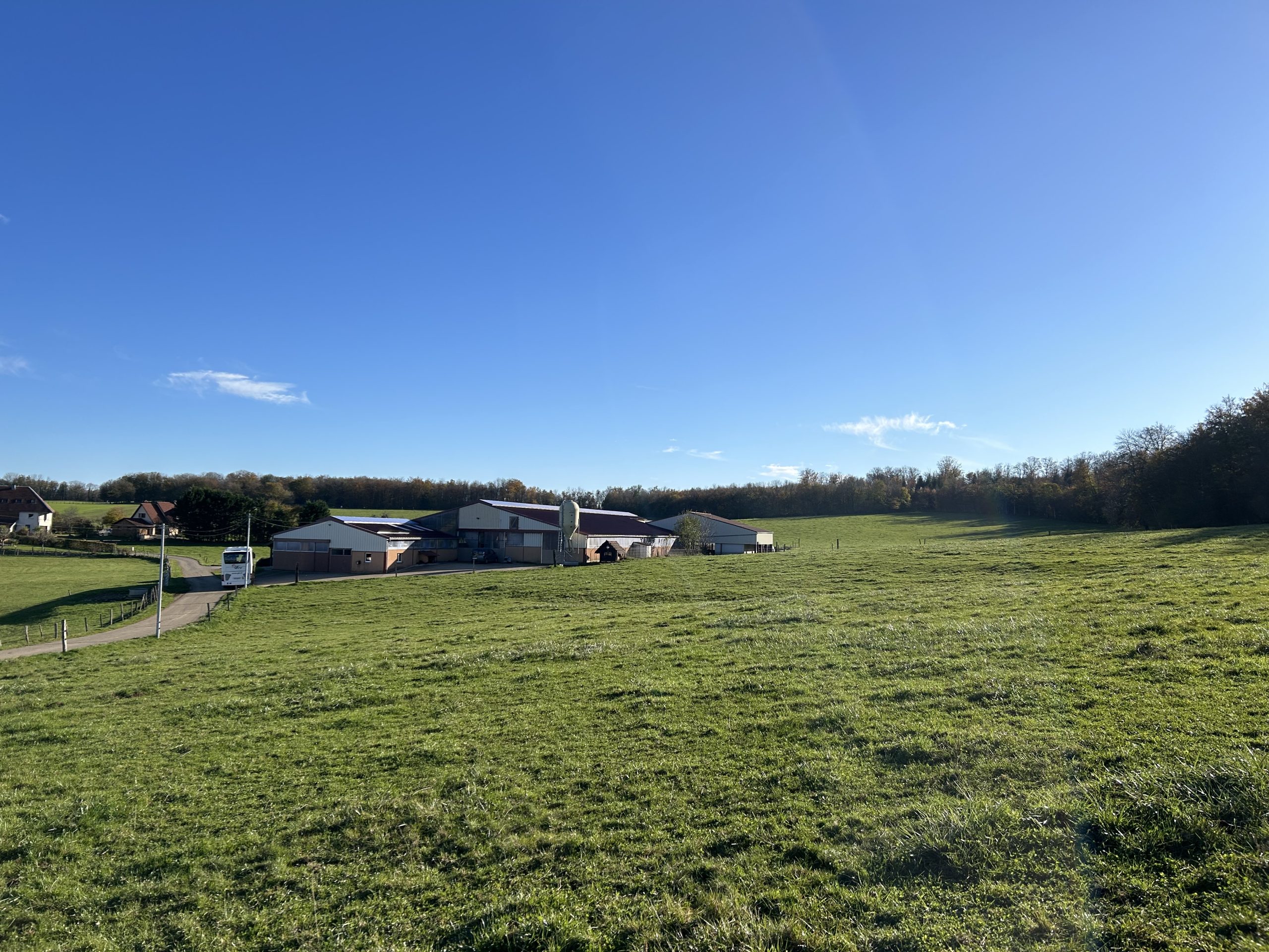 A view of Kovalik's farm yard