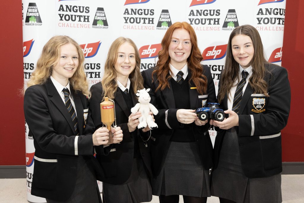 Markethill High School, Co. Armagh