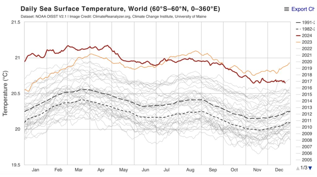 Ocean temperatures have fallen in 2024 despite claims of it being the hottest year