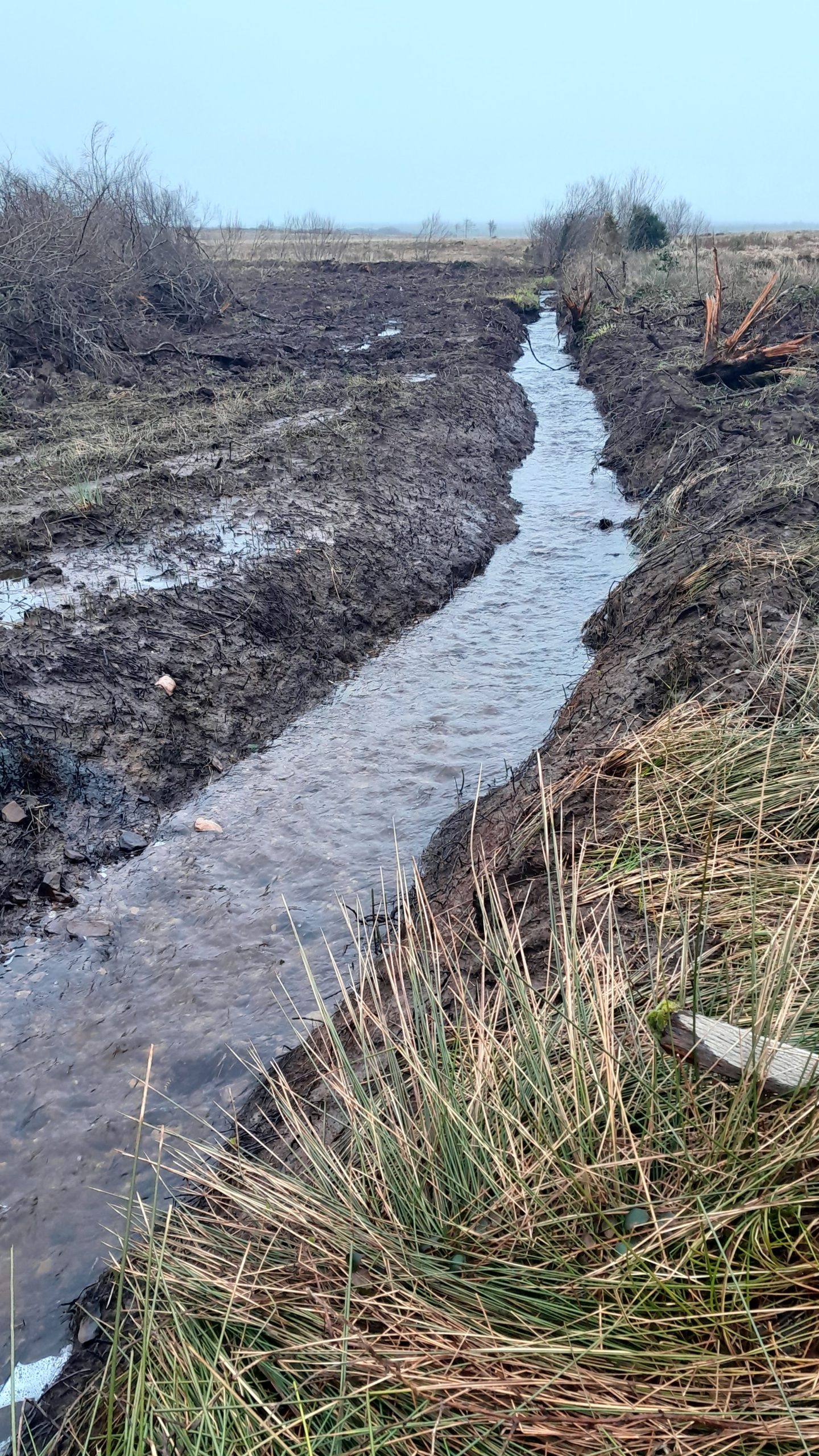 Section of the Kealadwneen stream dredged. Image source: IFI
