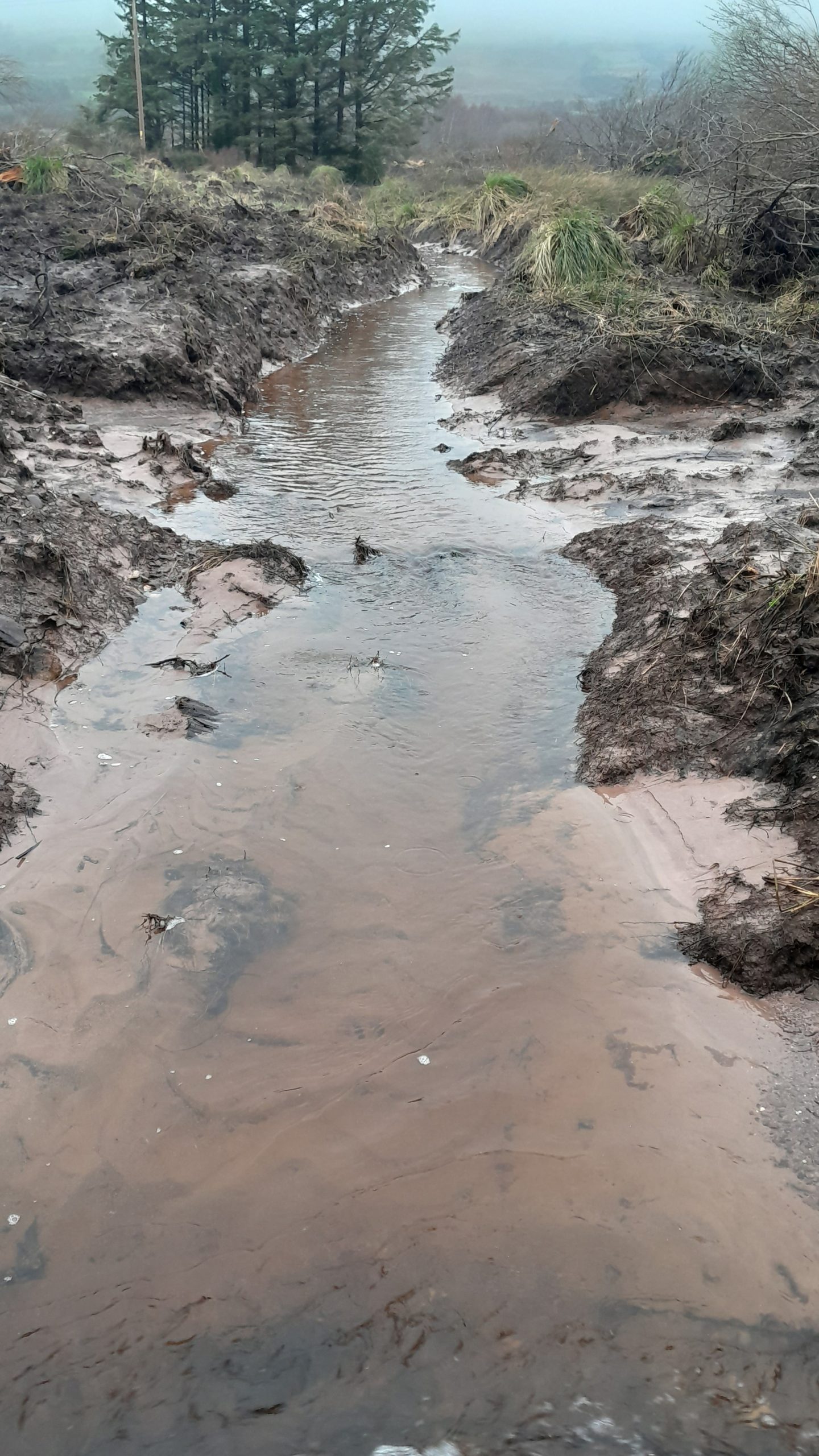 Silt discharging into stream. Image source: IFI