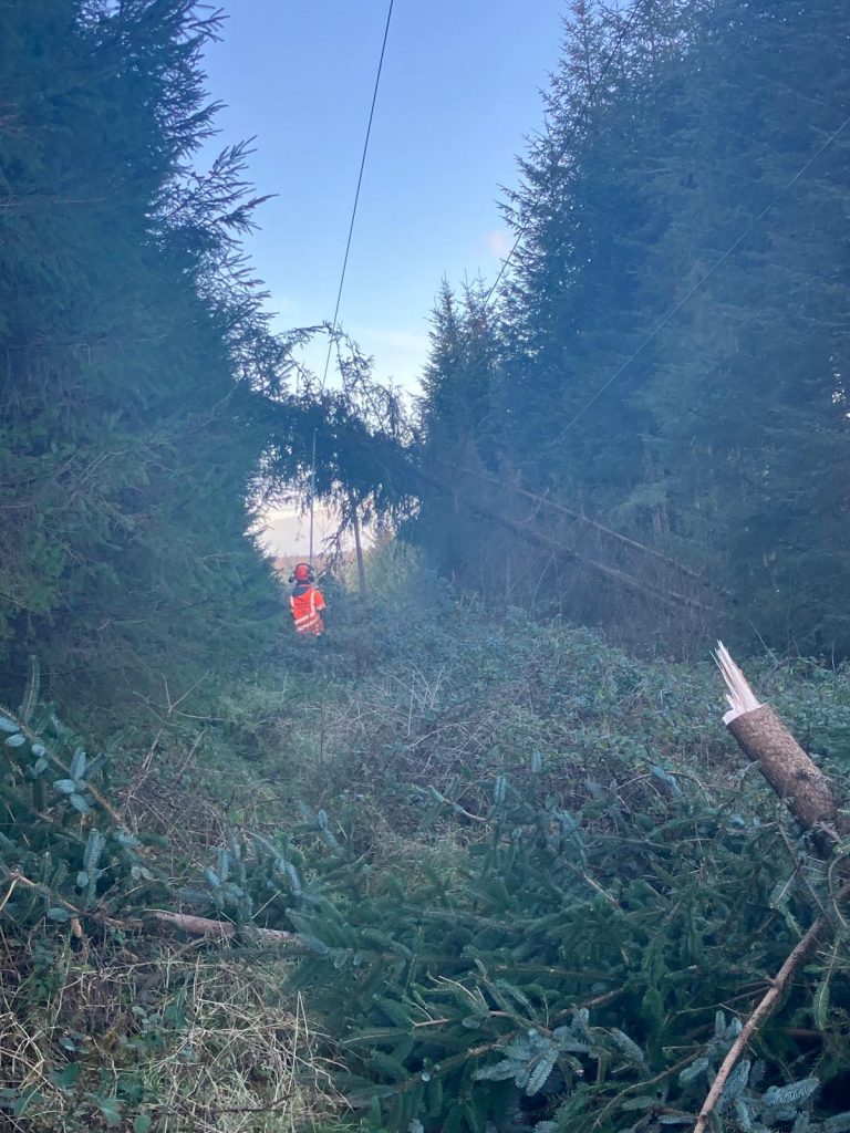 Image source: ESB Networks