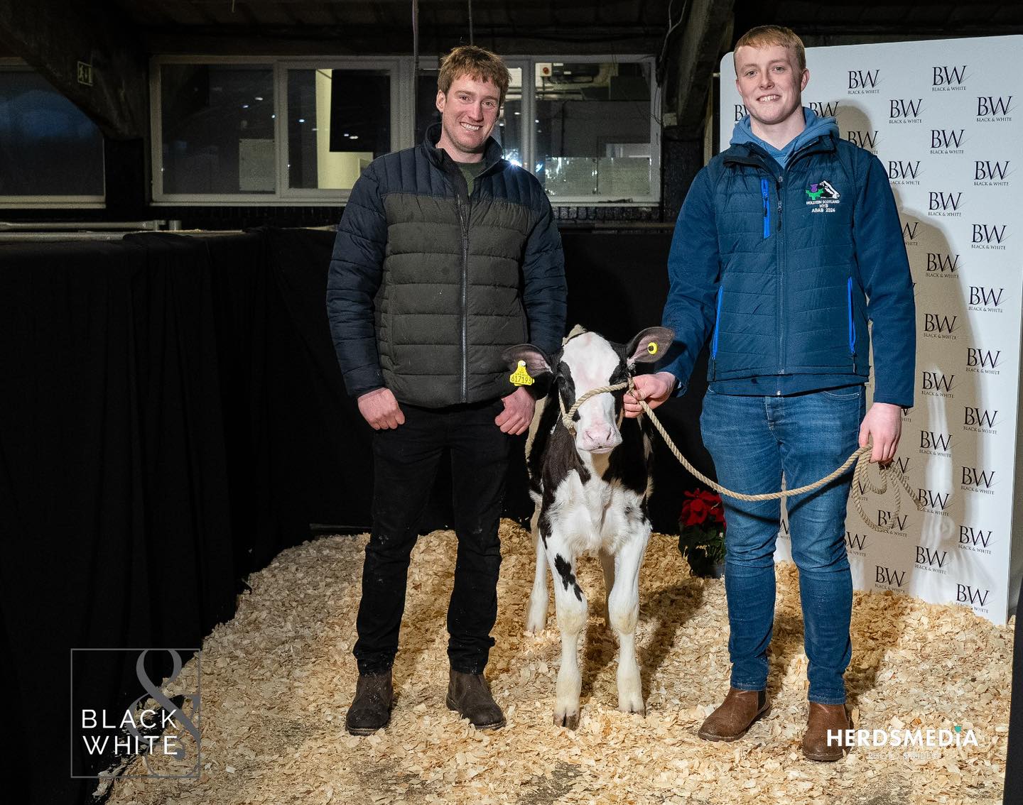 Ali Cook and Rory Scott with Auchensala Ambrose Manhatton, sold for 7000gns. Source: Black &amp; White saleFacebook
