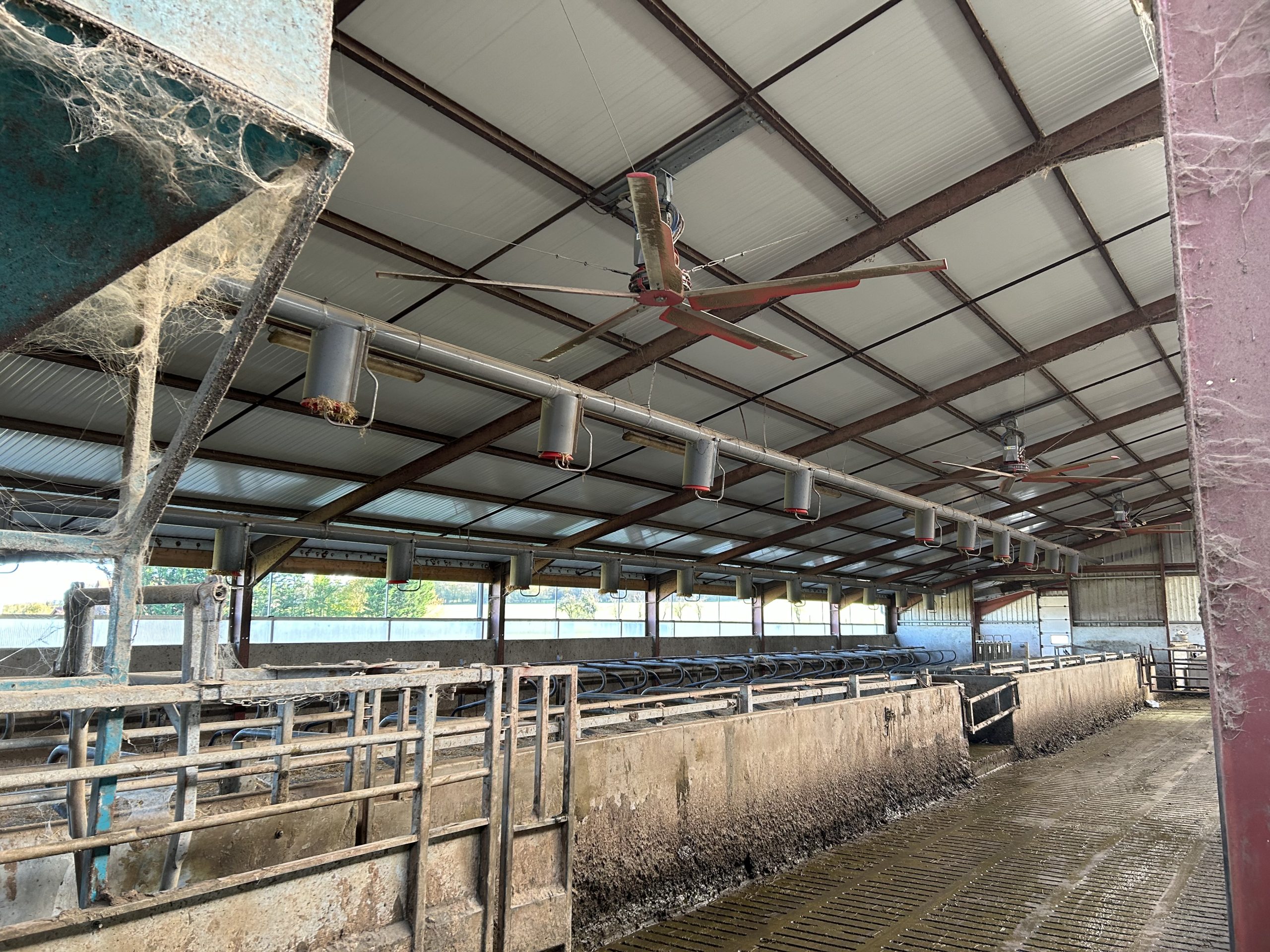 The augers that disperse the straw above the cubciles