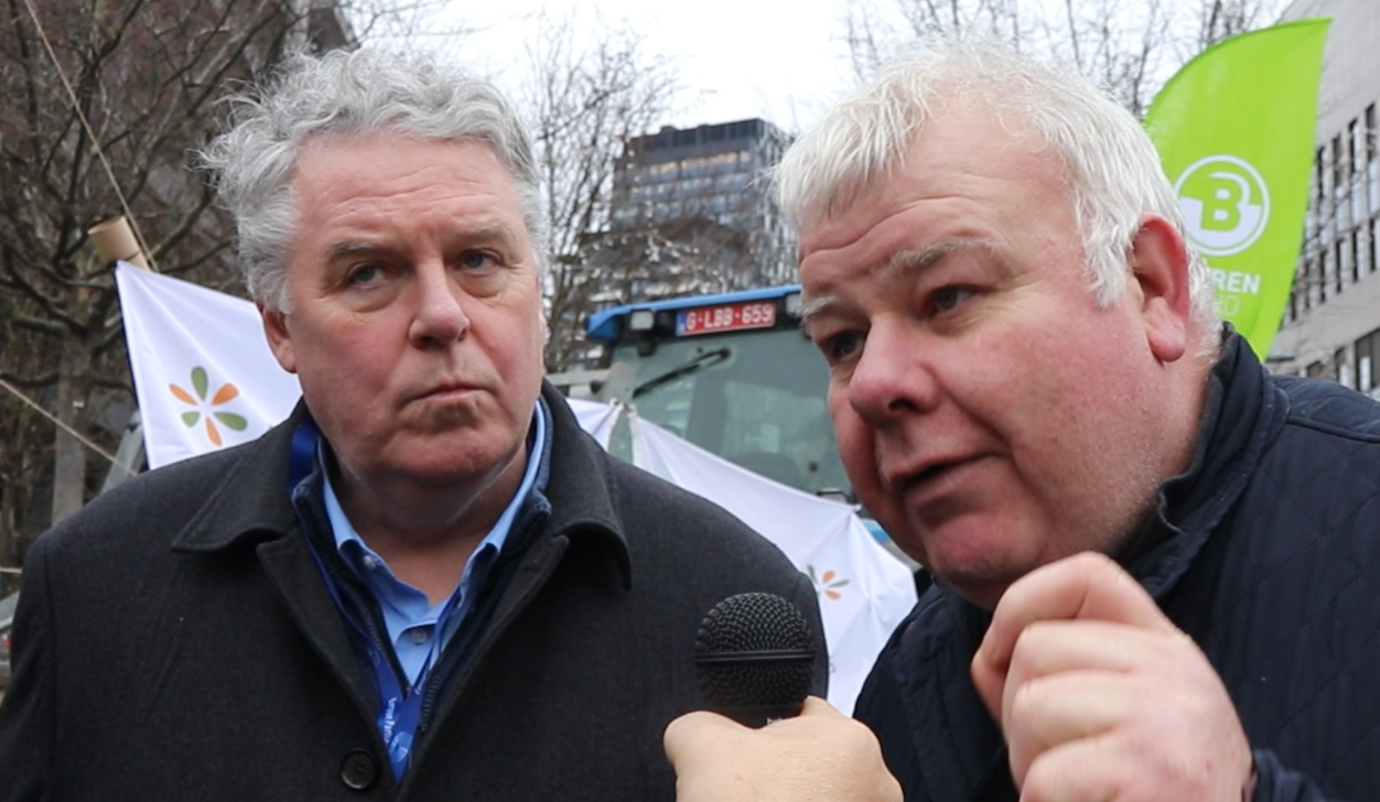 (L-R) Independent Ireland's Ciaran Mullooly and Michael Fitzmaurice Source: @independent_ire via X