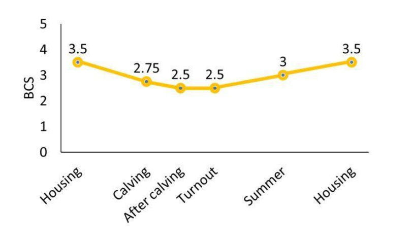 Source: Teagasc