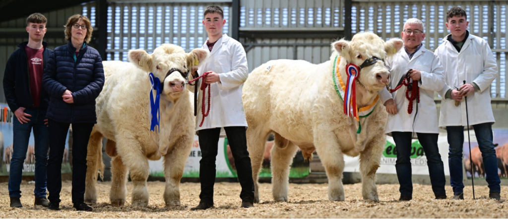 Dhuish Upton and Dhuish Ugene