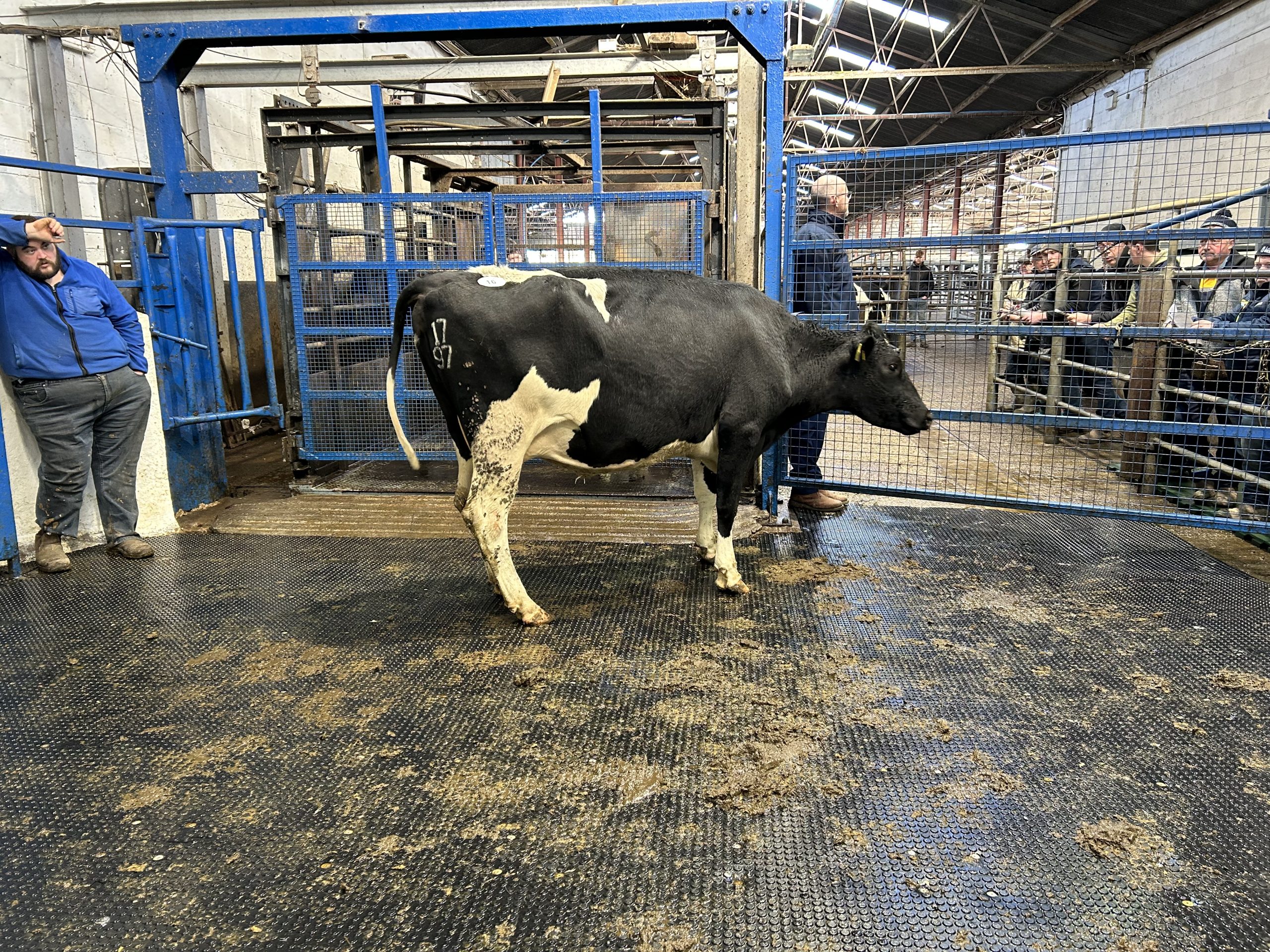 Lot 16: Sold for €2,400