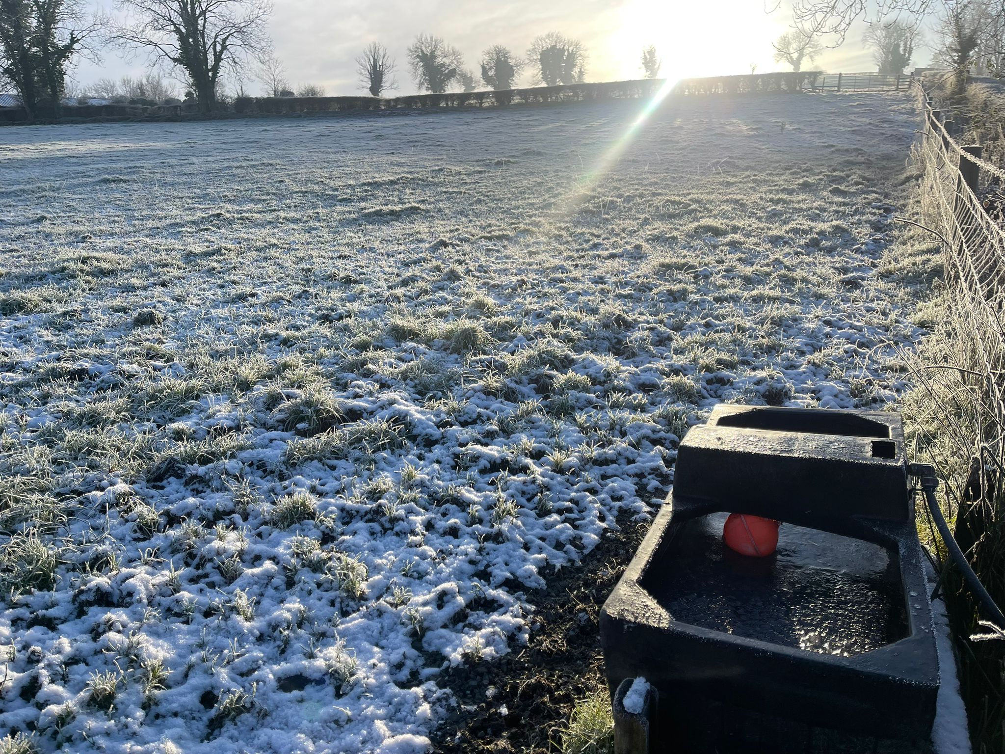 When conditions become milder and water is restored, farmers should take time to check their water infrastructure for burst pipes and drinkers