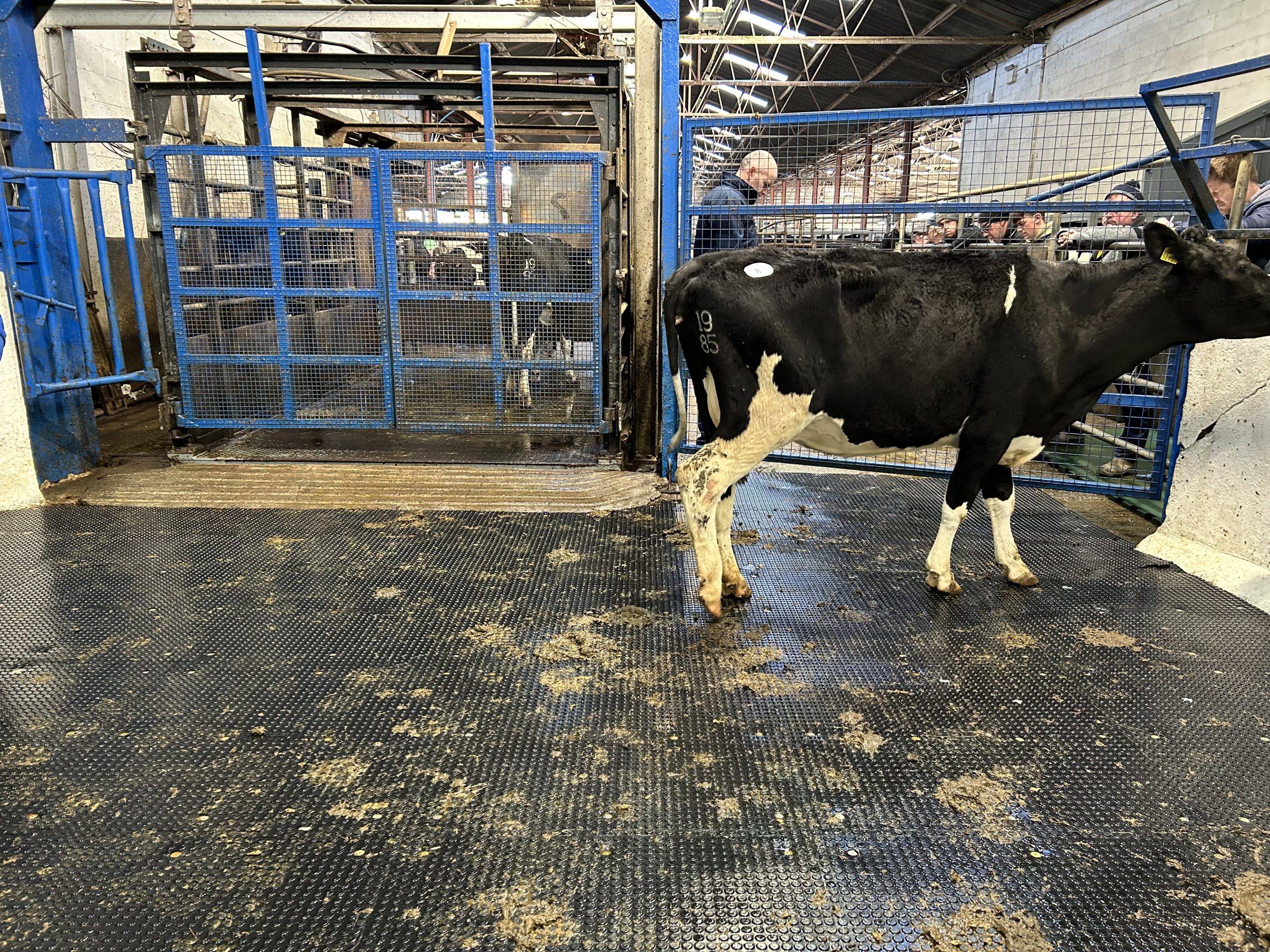 Lot 8: sold for €2,150