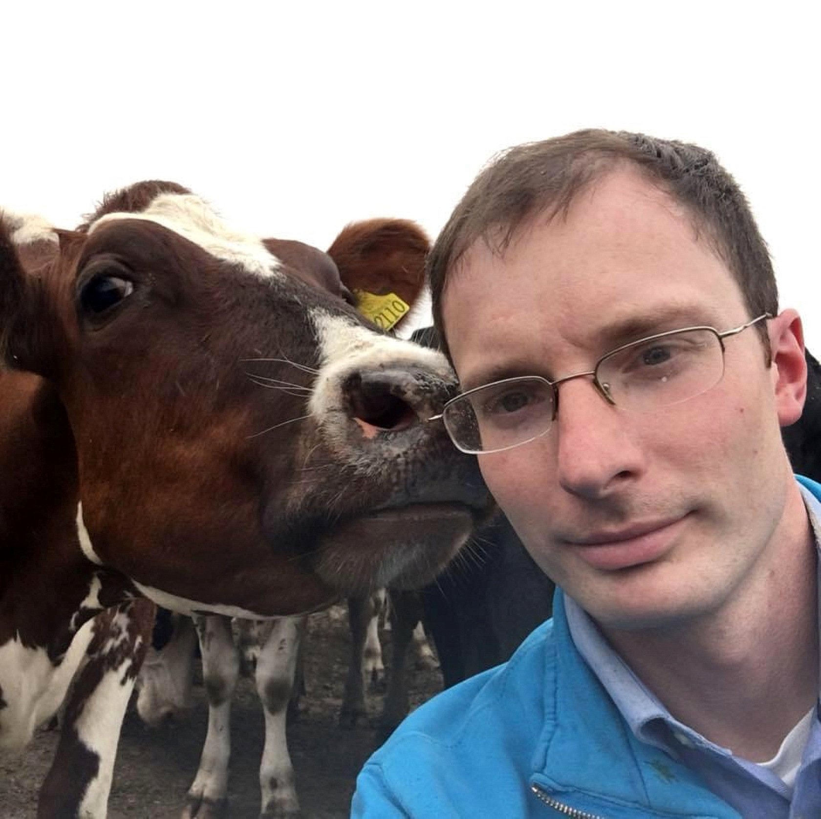 Carl Huxham left his accountancy job in 2012 to focus on his dairy herd