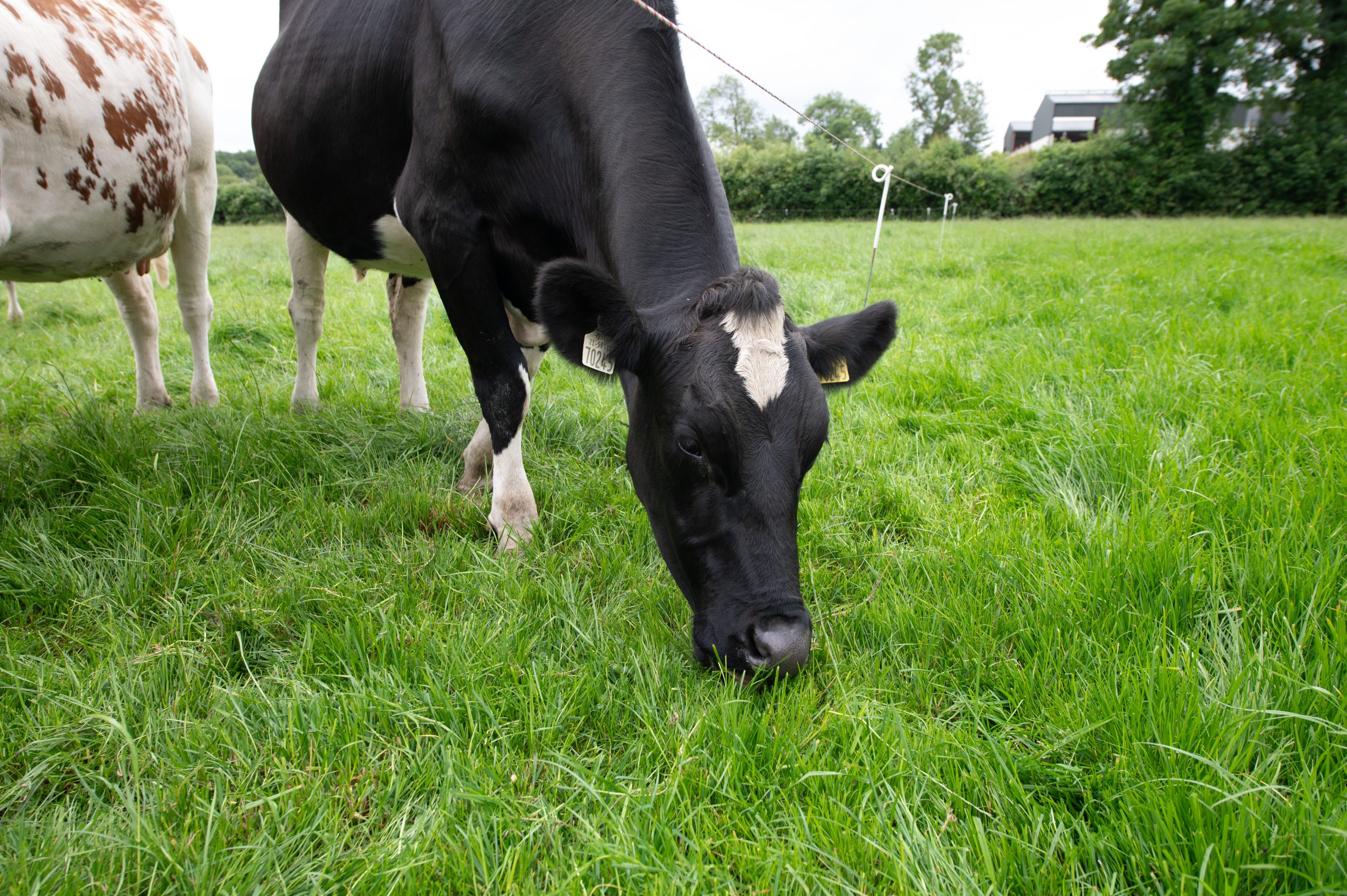 'Your Farm Your Future' events take place on Monday, January 20 in Letterkenny Co. Donegal and Claremorris Co. Mayo. Image source: Clive Wasson
