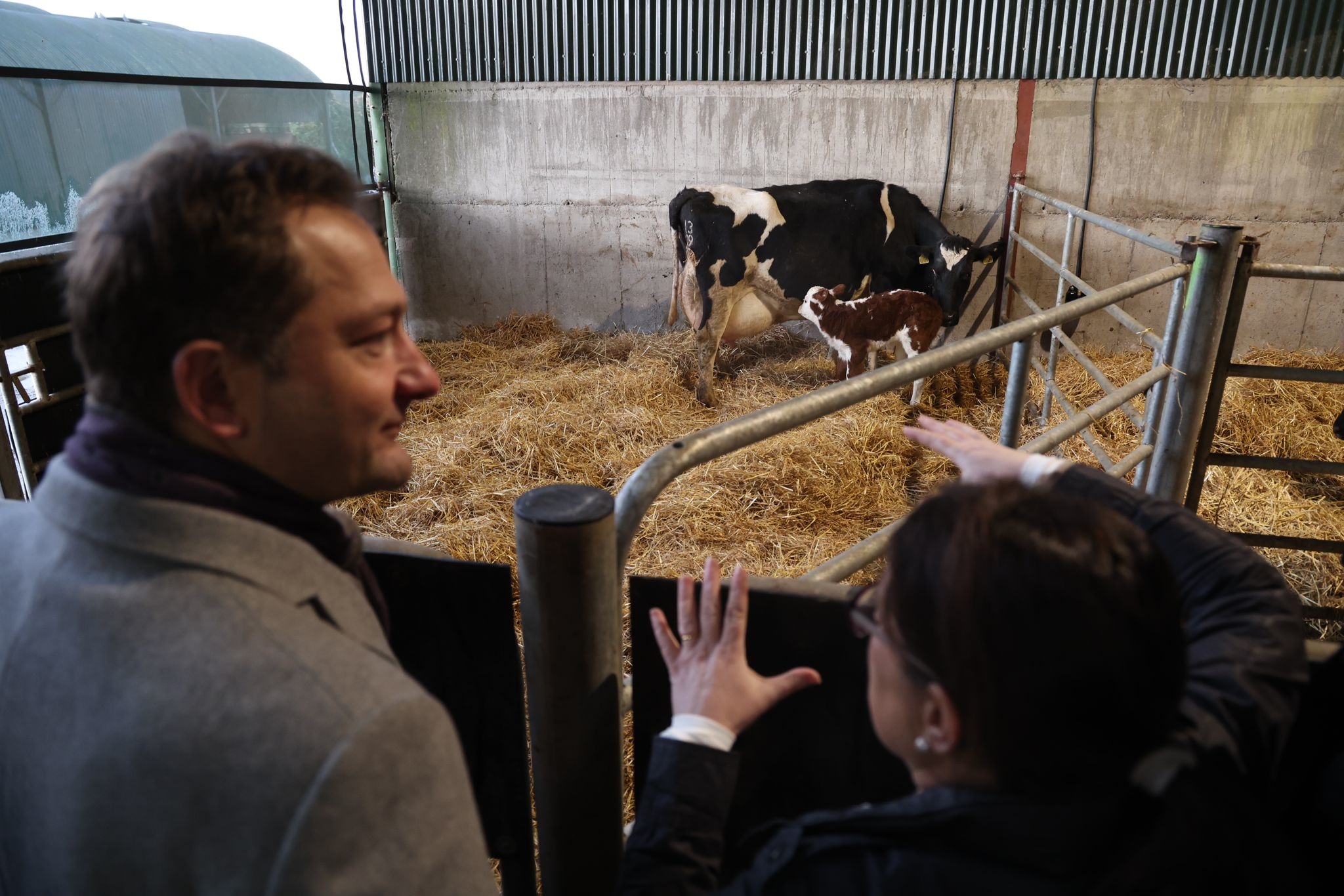 Commissioner Hansen on a farm in Co. Kildare. Image source: X, @eurireland