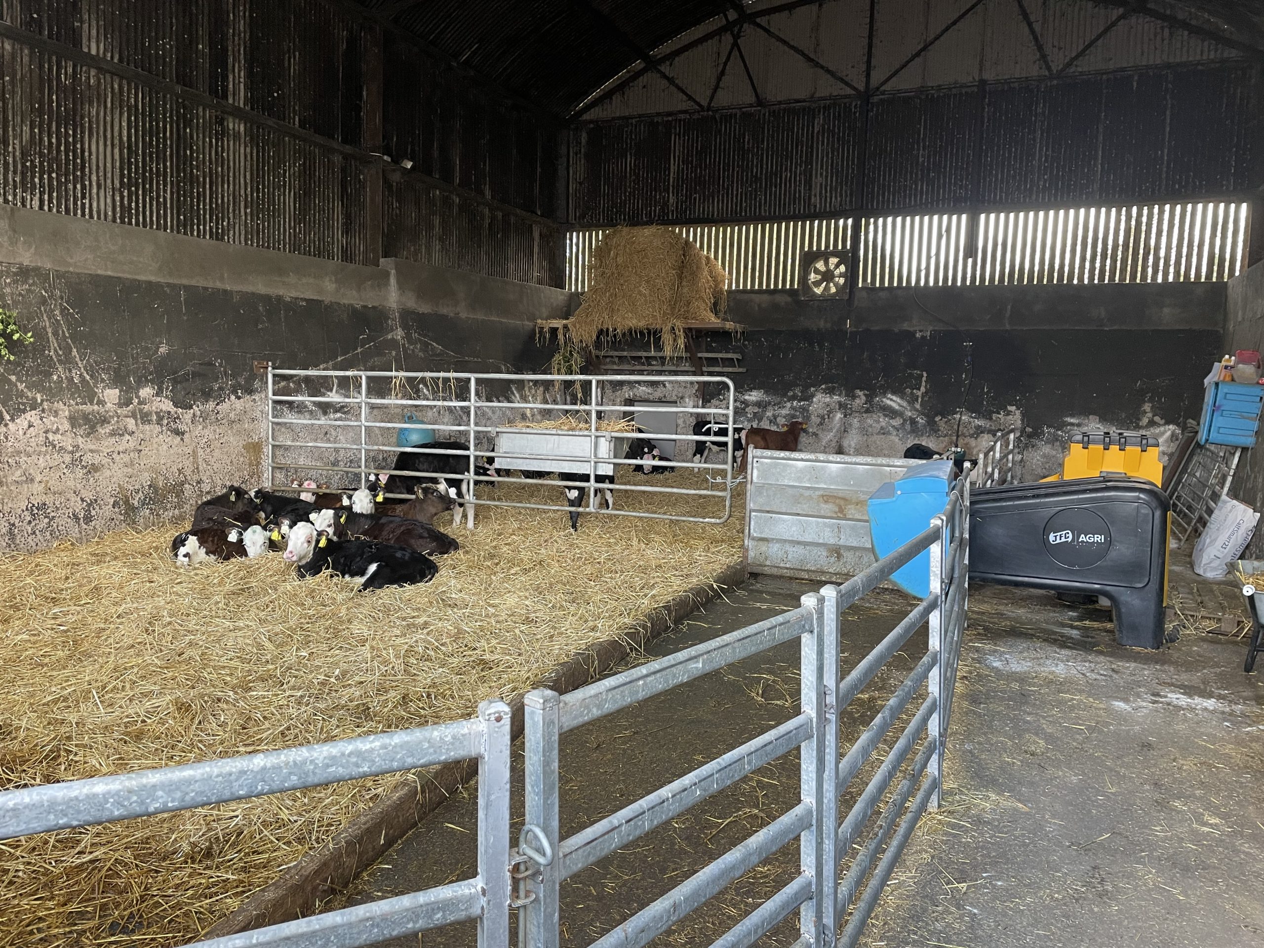 The calf rearing set-up on the farm