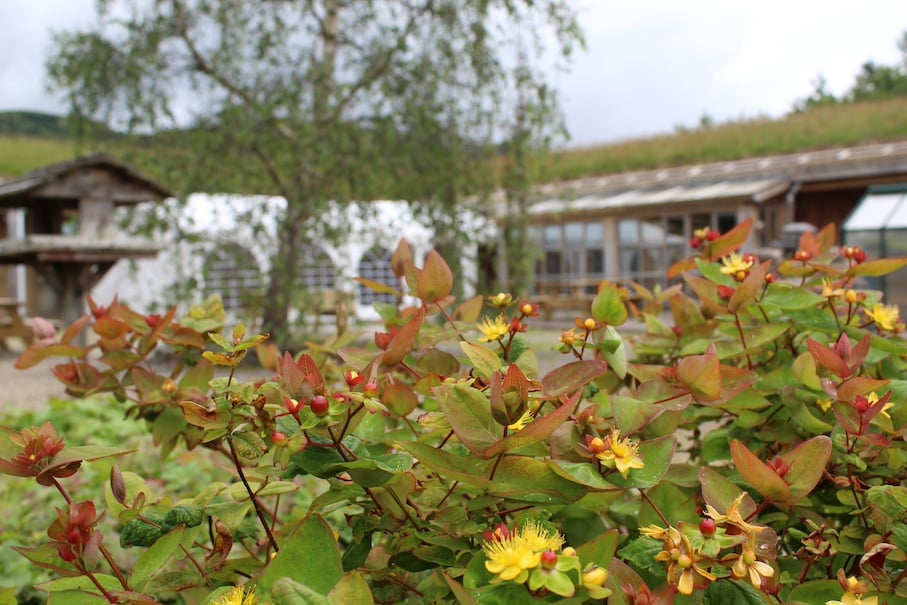 The Organic Centre
