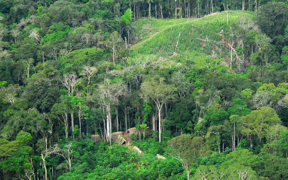 An uncontacted tribe in the Brazilian state of Acre