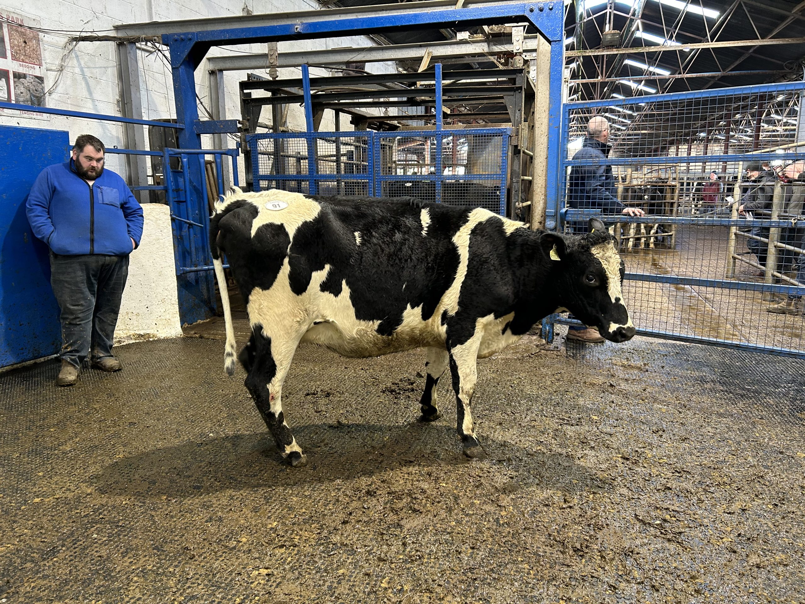 Lot 91: Sold for €1,620