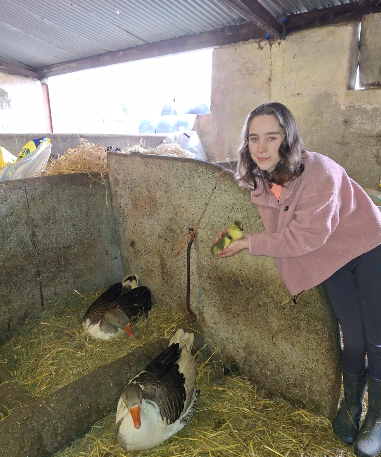 John's daughter Lucy holding Lucky with Concepta and the gander (father of Lucky). Image source: John Dolan