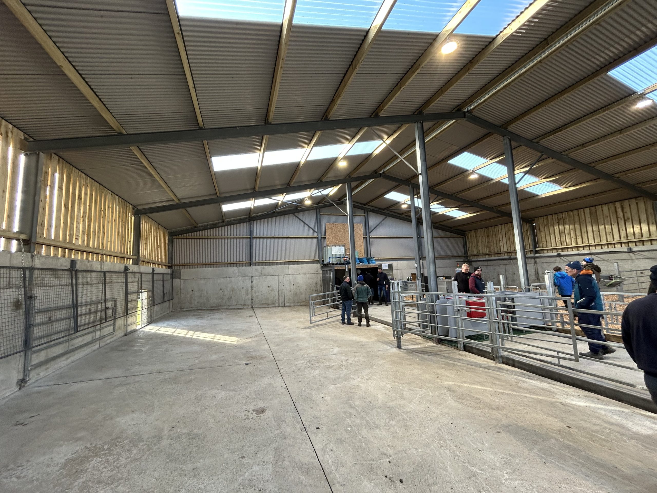 John Comerford's calf shed