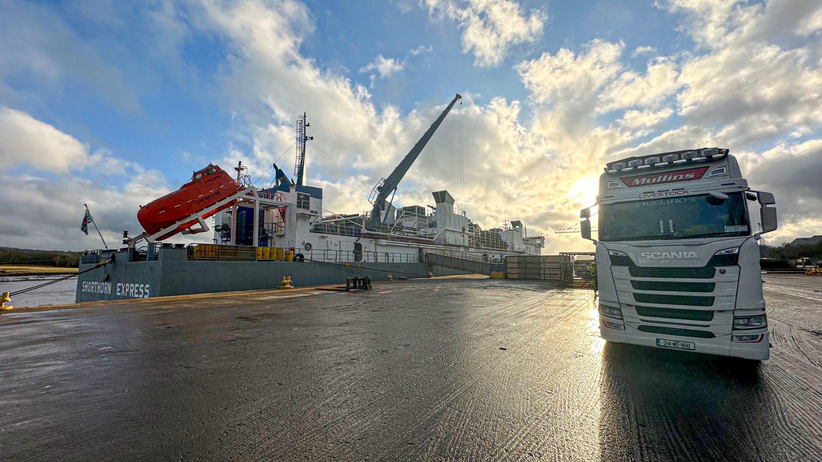 The long day loading at Belview port. Source: Cows.ie