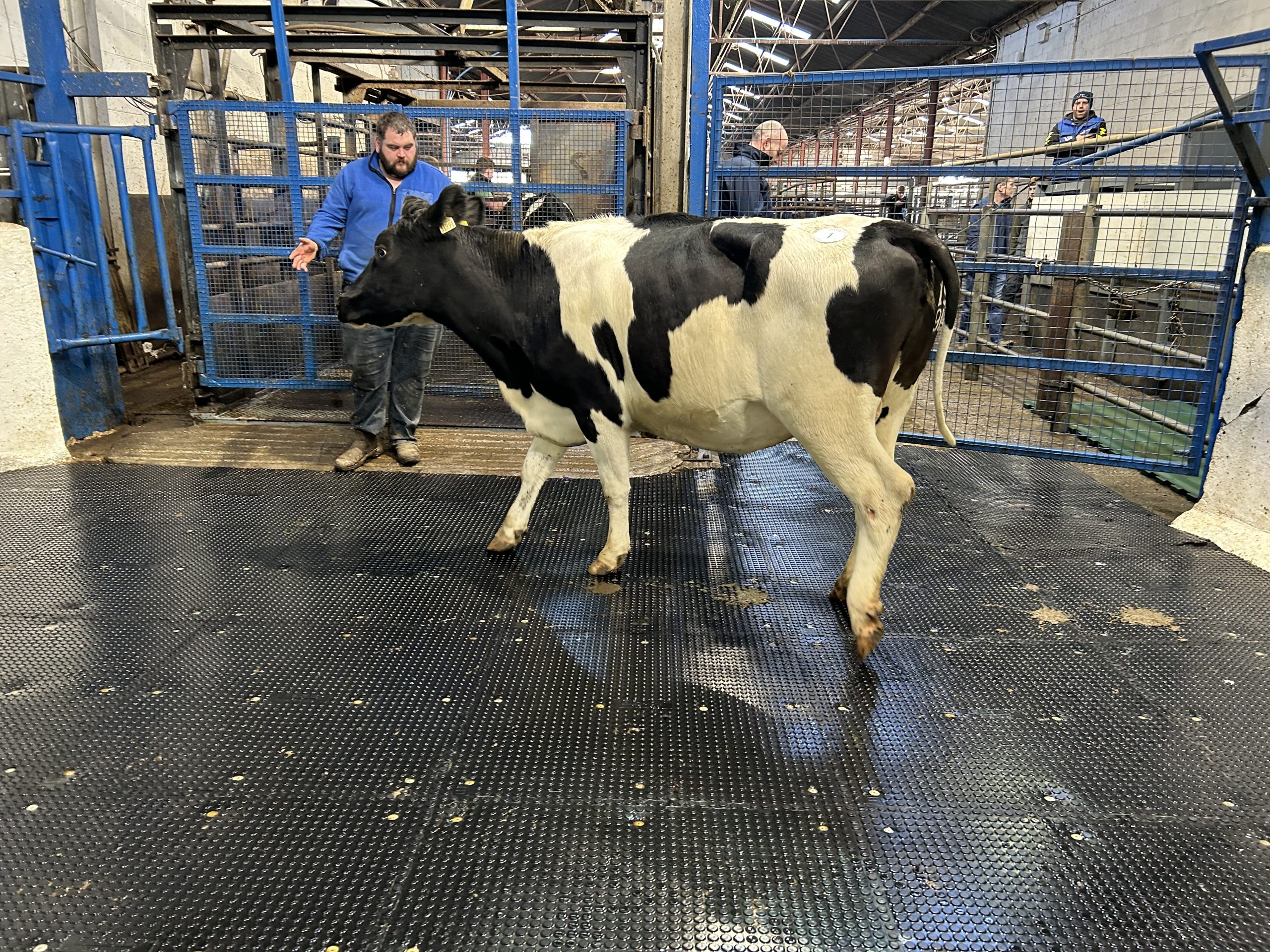 Lot 1: Sold for €2,020