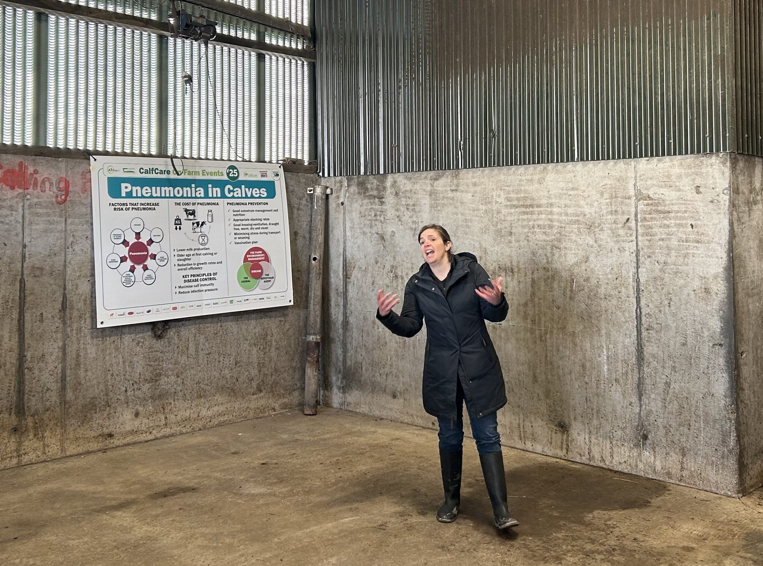 AHI veterinary epidemiologist, Natascha Meunier talking at the CalfCare event
