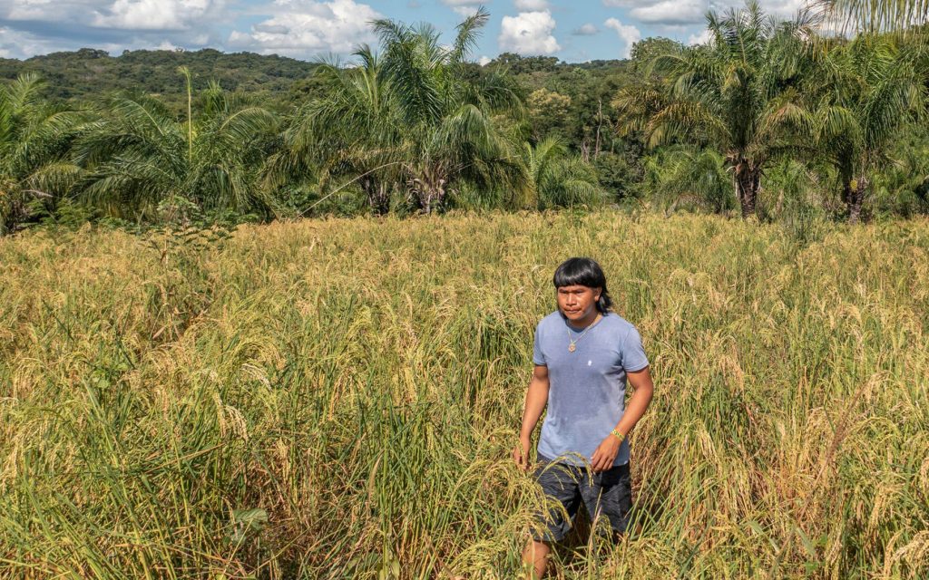 AGCO has partnered with The Nature Conservancy Brazil to encourage regenerative farming and support the indigenous population