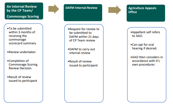 Summary of review process Source: DAFM
