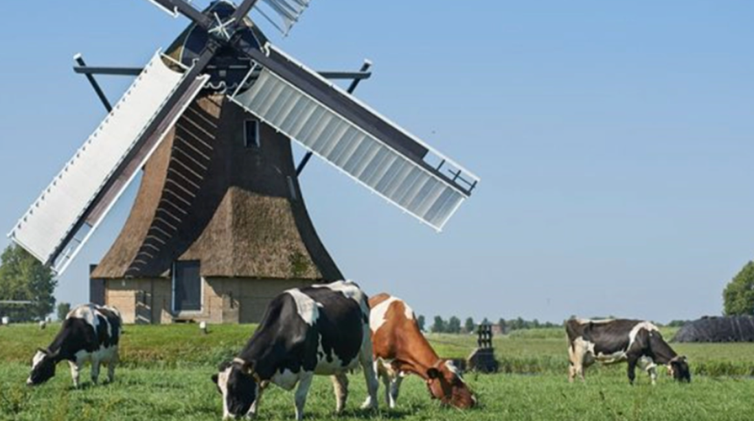 Source: FrieslandCampina