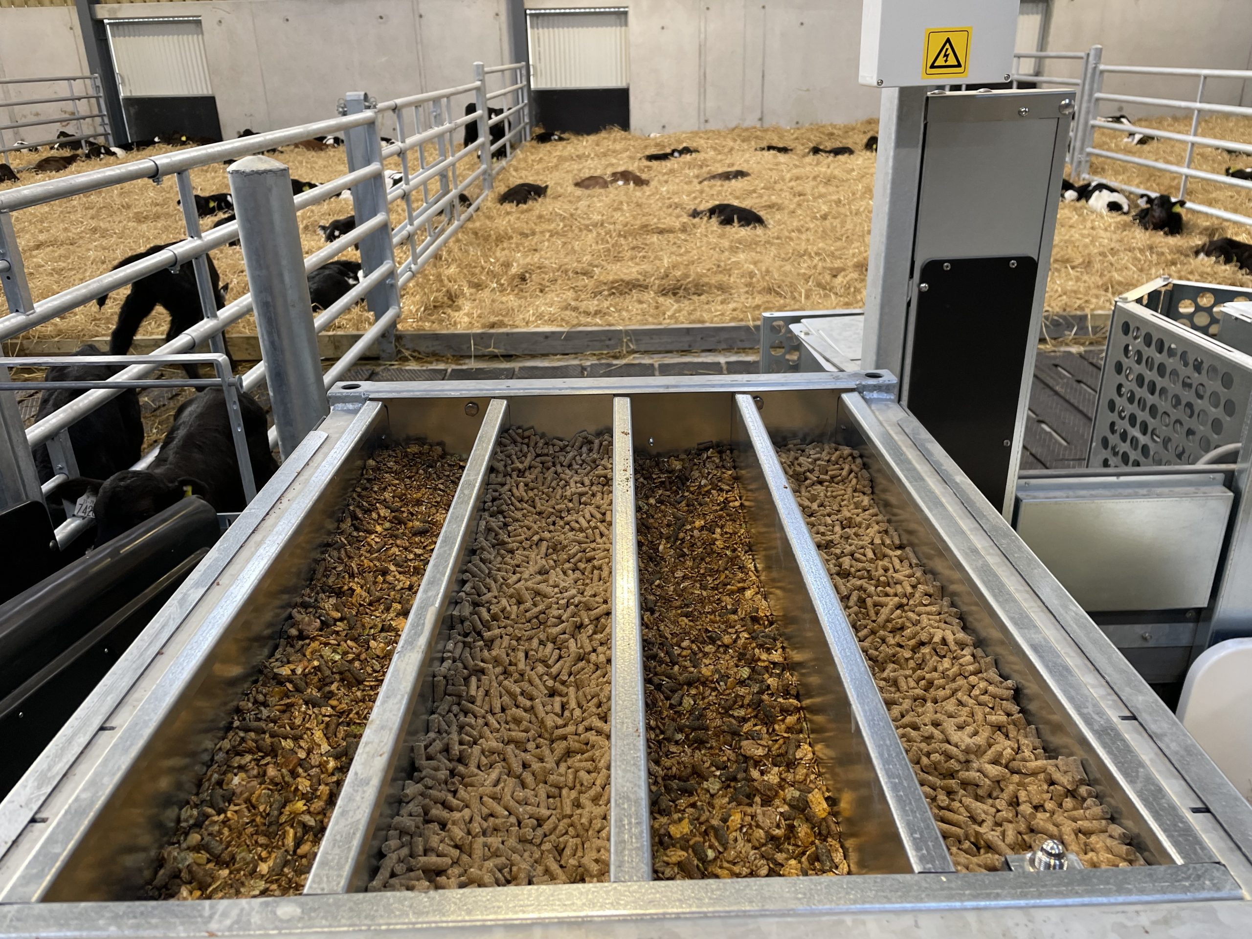4 different rations can be fed and measured on a calf-specific basis