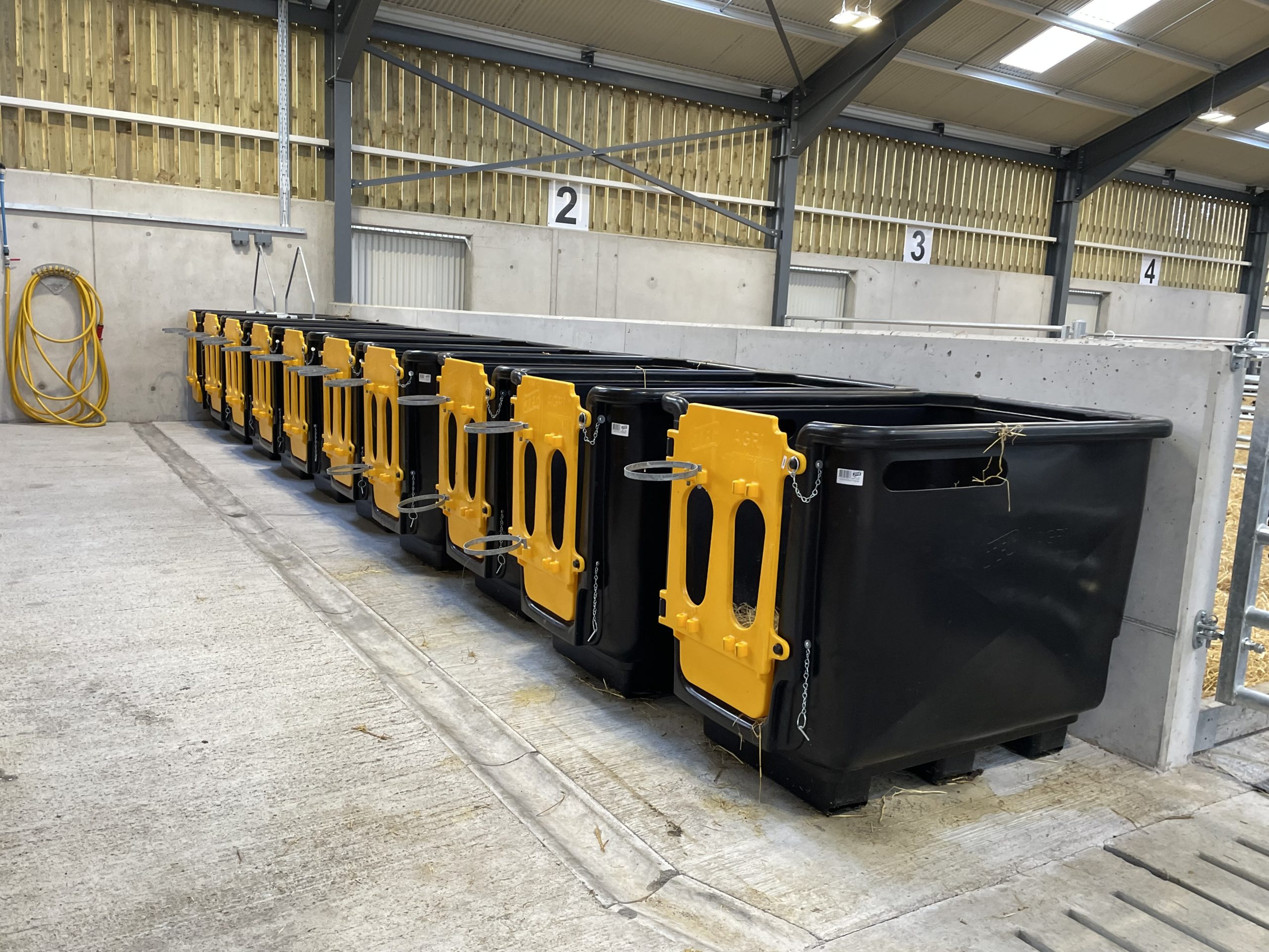 Calf isolation pens