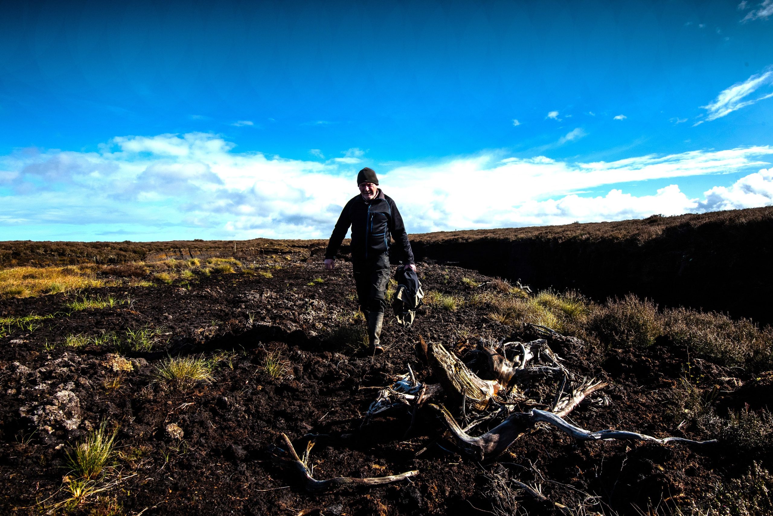 On the bog