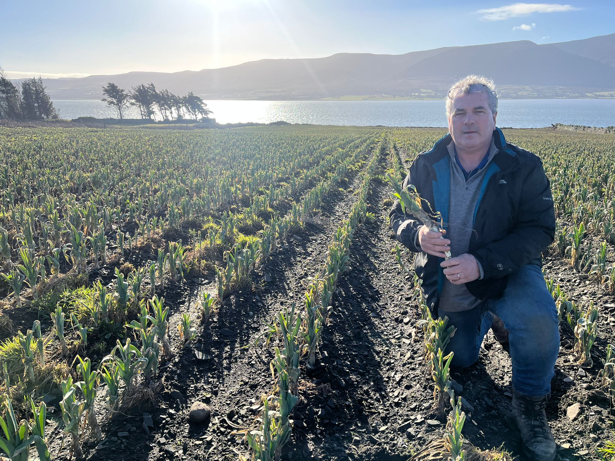 Paudie Hannafin of Ballygarron vegetable farm in Co. Kerry with his crop of leeks that were destroyed in Storm Éowyn