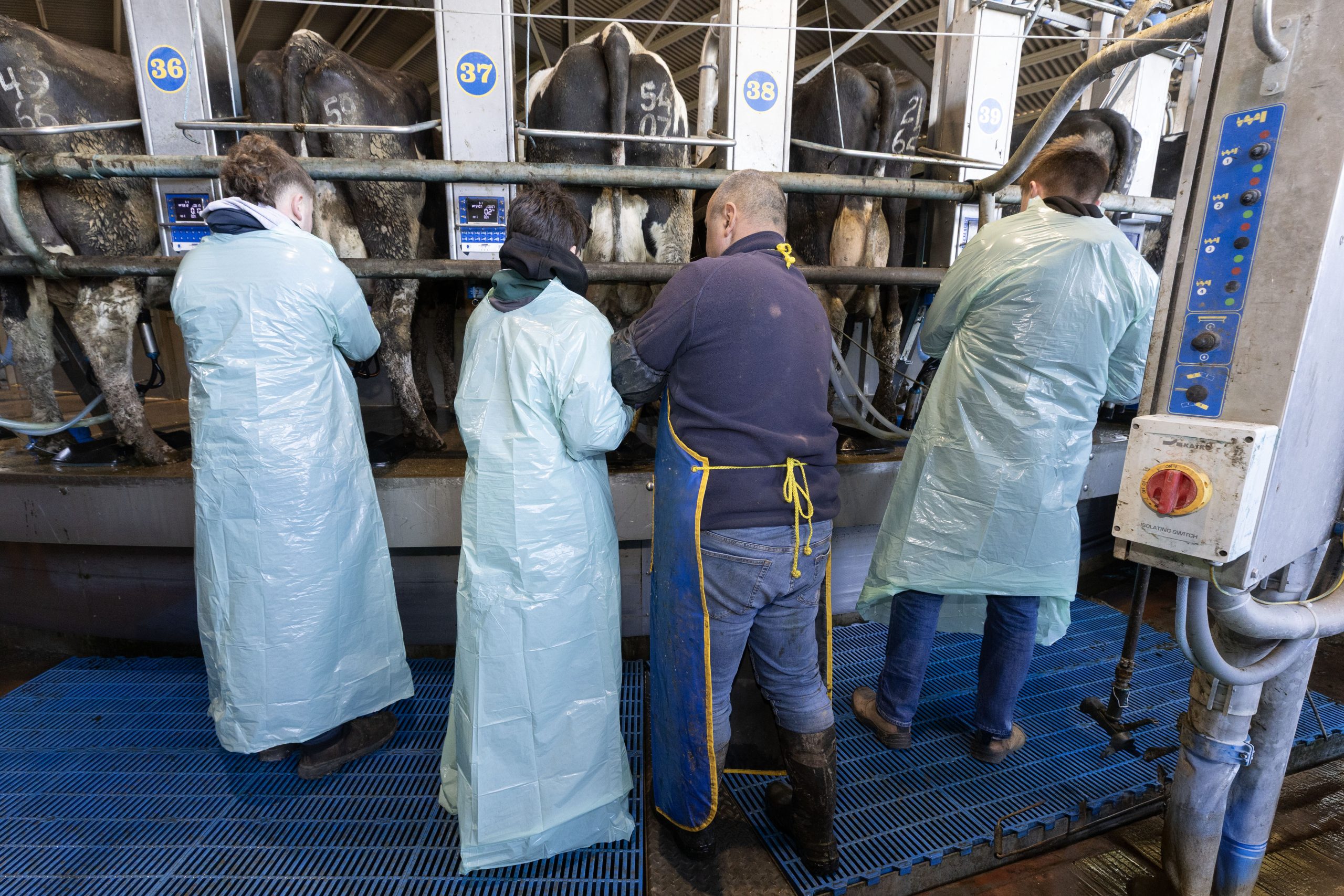 Pavel Miaskiewicz from Salesian Agricultural College shows Joe Golden, Eoghan Mannion and Coalen Fahy from Archbisop McCale College, Tuam, Co. Galway how milking works Image: Finbarr O'Rourke