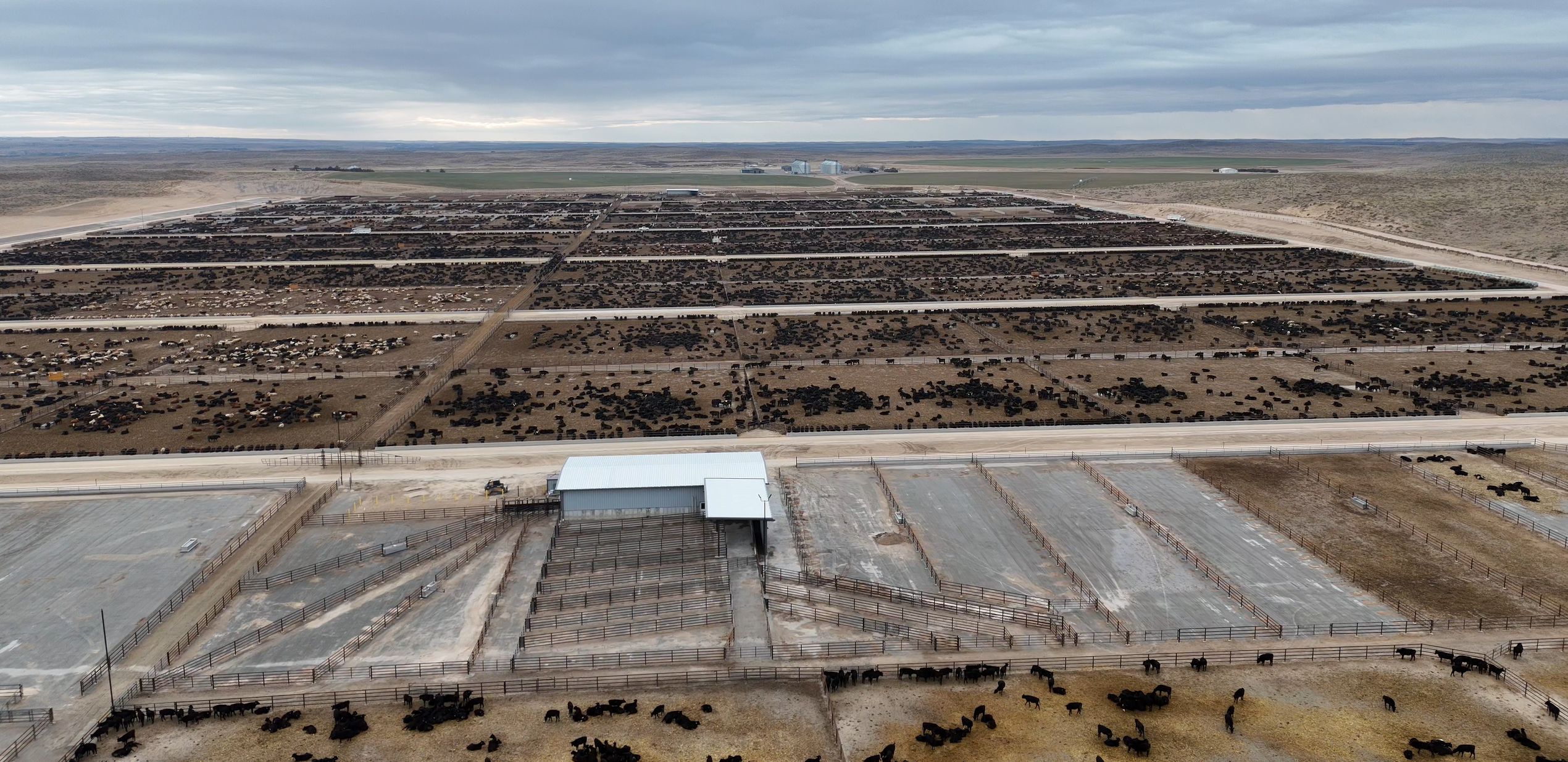 On completion, the facility will have the capacity for 150,000 head of cattle on concrete with an on-site anaerobic digestor also. Source: Eric J. Behlke