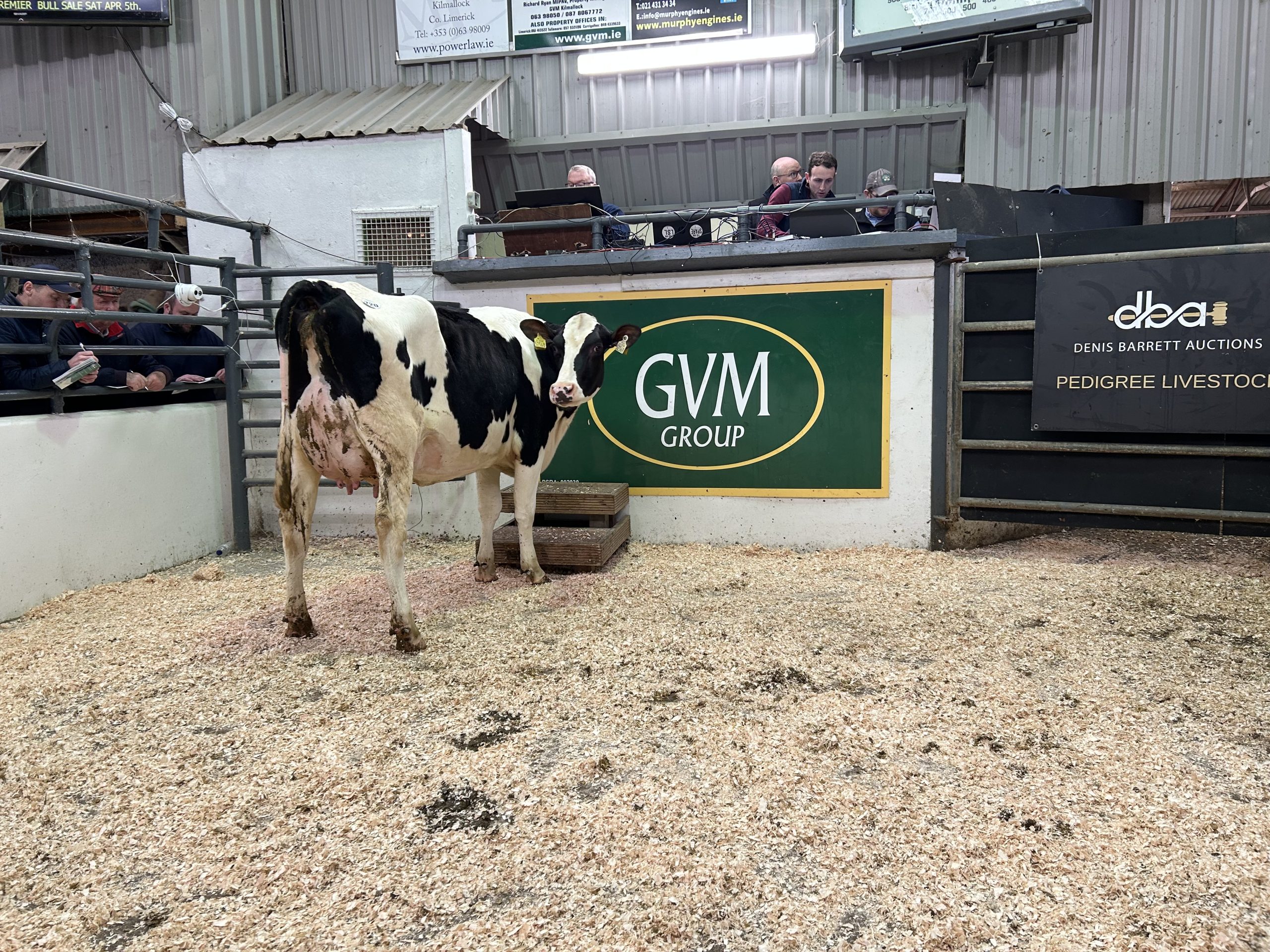 Rosetemple Reliever Promis Rc sold for €3,400