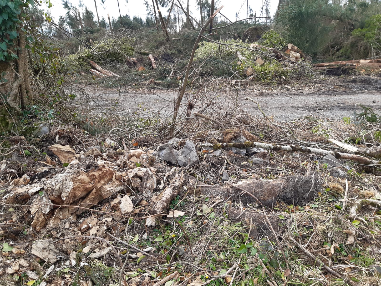 Damage caused to Aidan Mullins' farm in Co. Galway (Source Aidan Mullins)