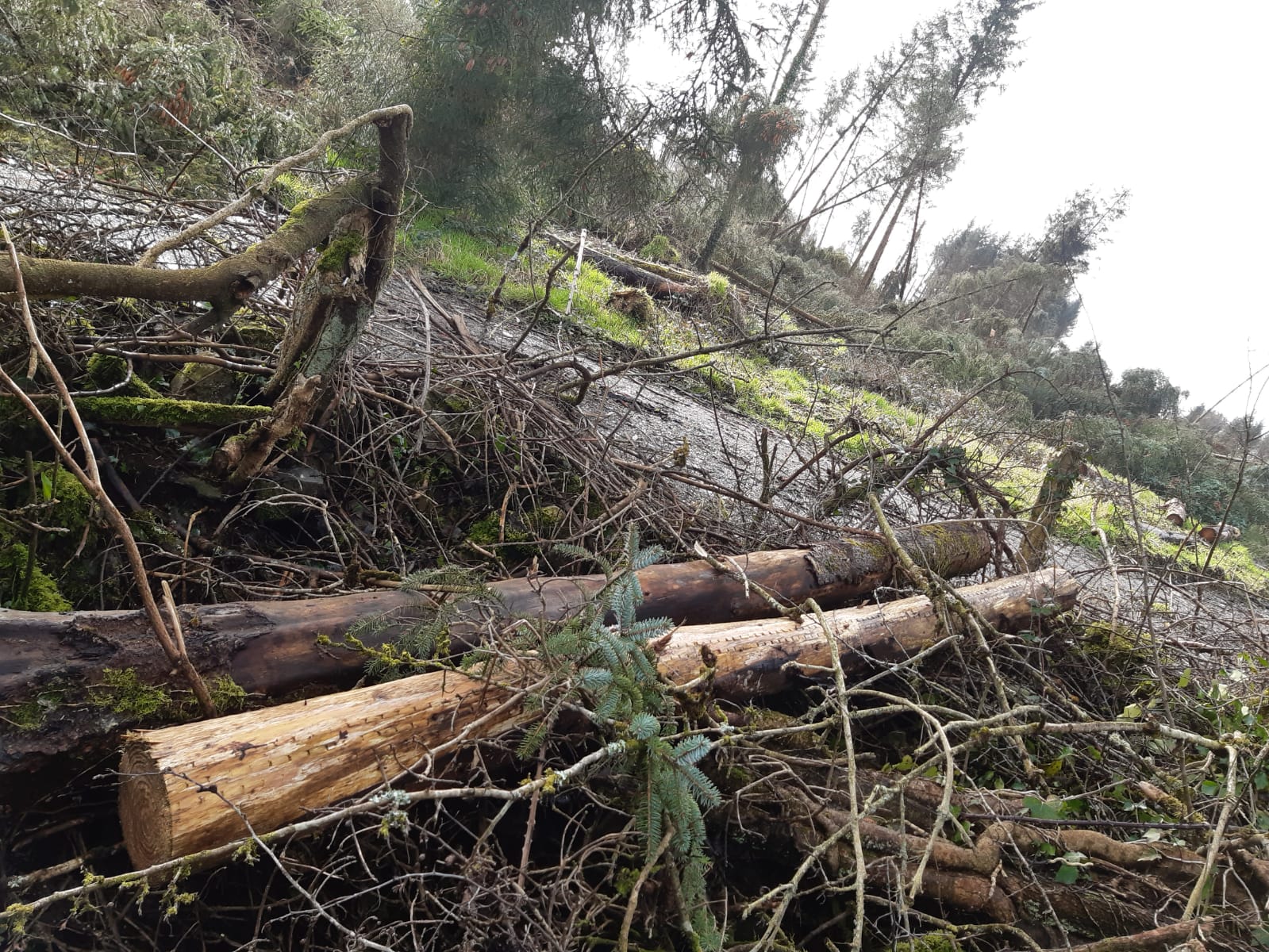 Damage caused to Aidan Mullins' farm in Co. Galway. Source: Aidan Mullins