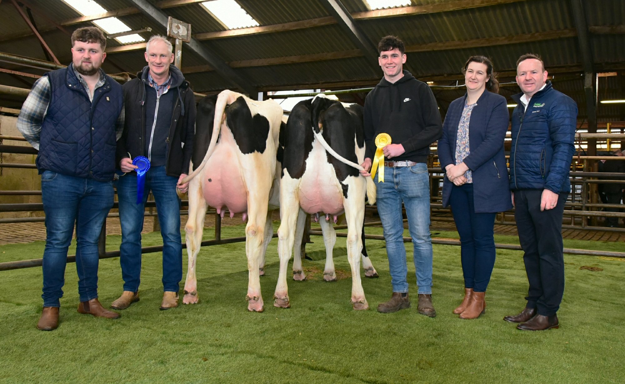 Lot 27, Ballytigue Rubicon Fini sold for €3,500 and  lot 28, Ballytigue Marcello Alliance sold for €2,900