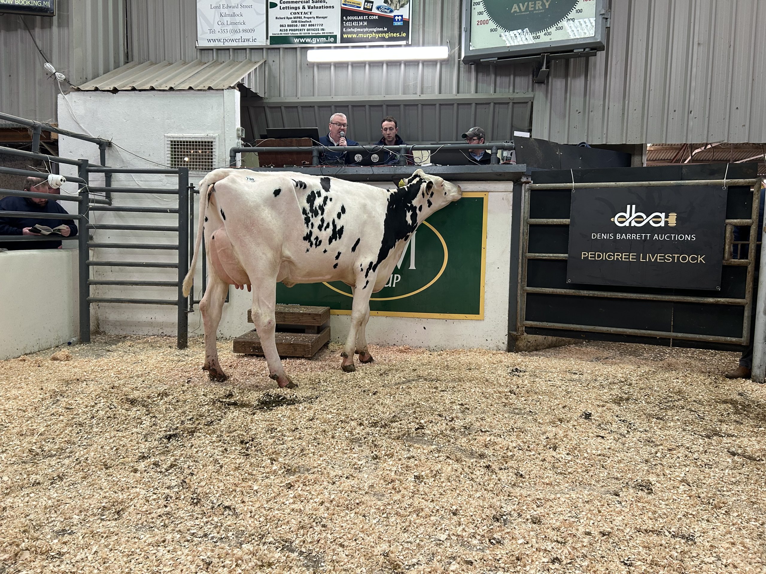 Emerald Mooi Twizzle sold for €4,800
